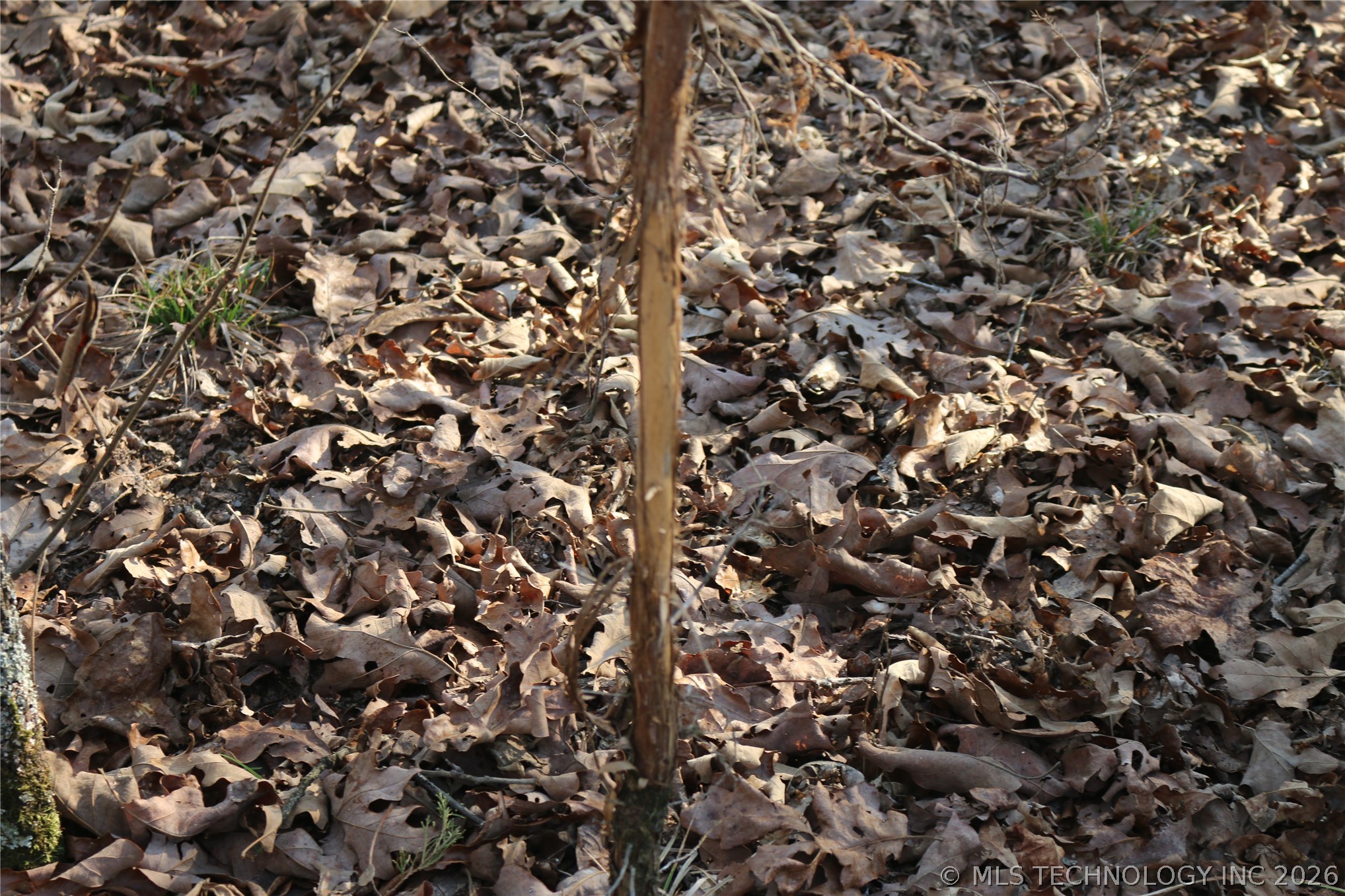Kirk Mountain Property Photo 11