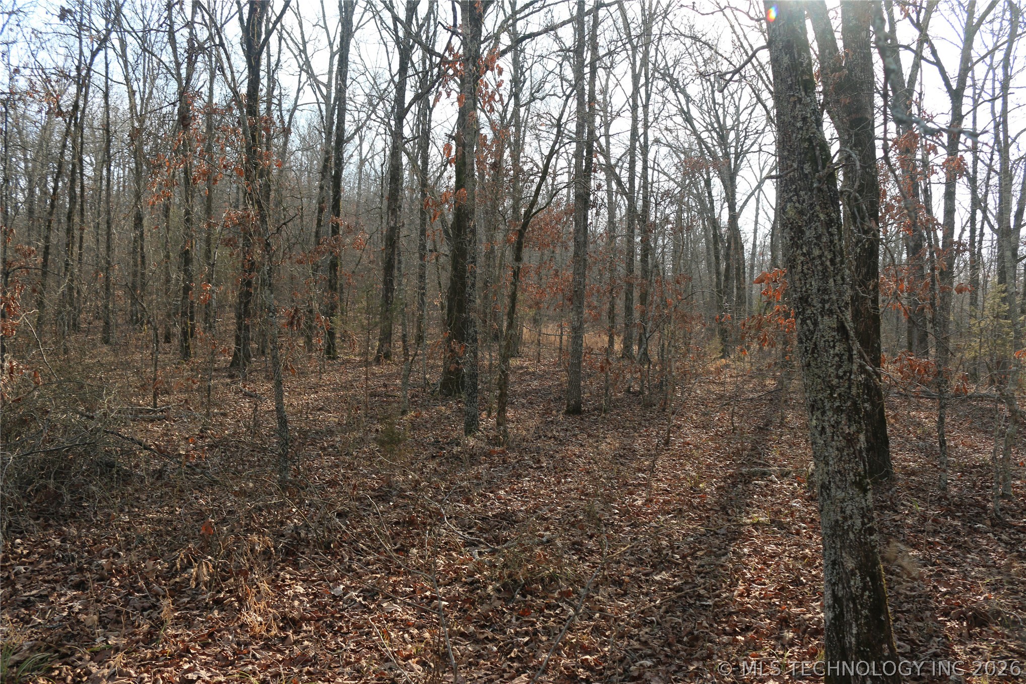Kirk Mountain Property Photo 12