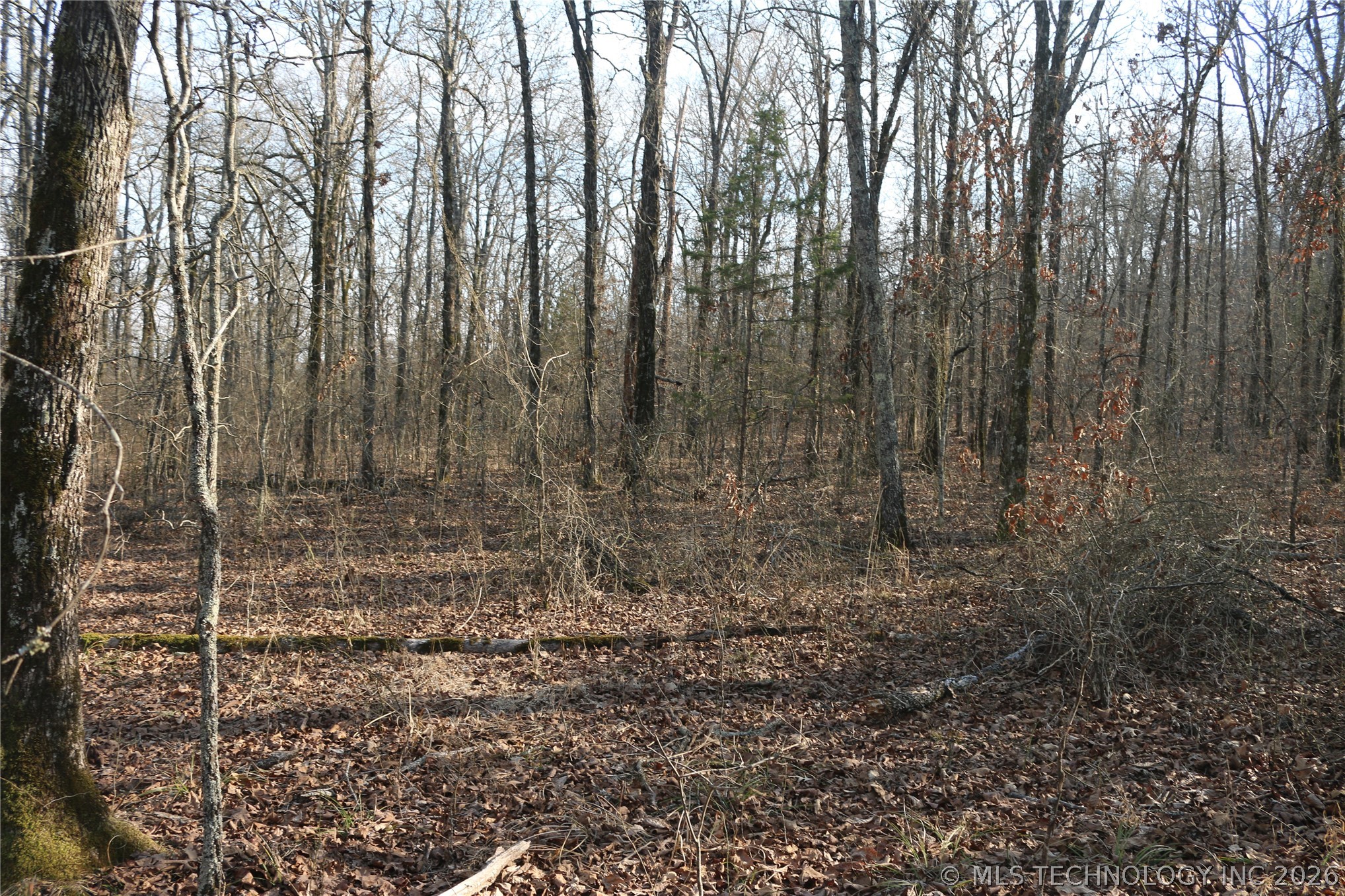 Kirk Mountain Property Photo 13