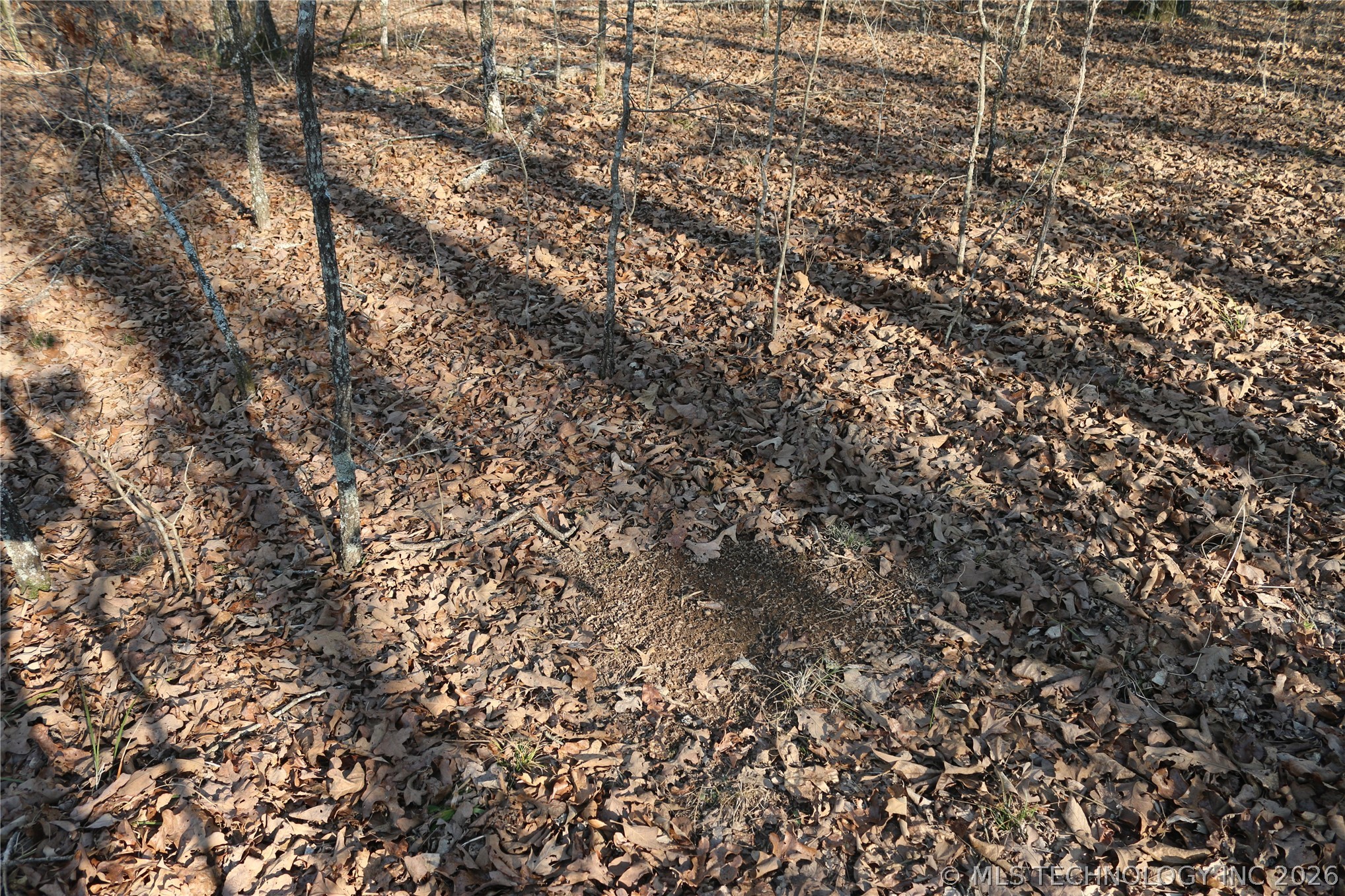 Kirk Mountain Property Photo 14