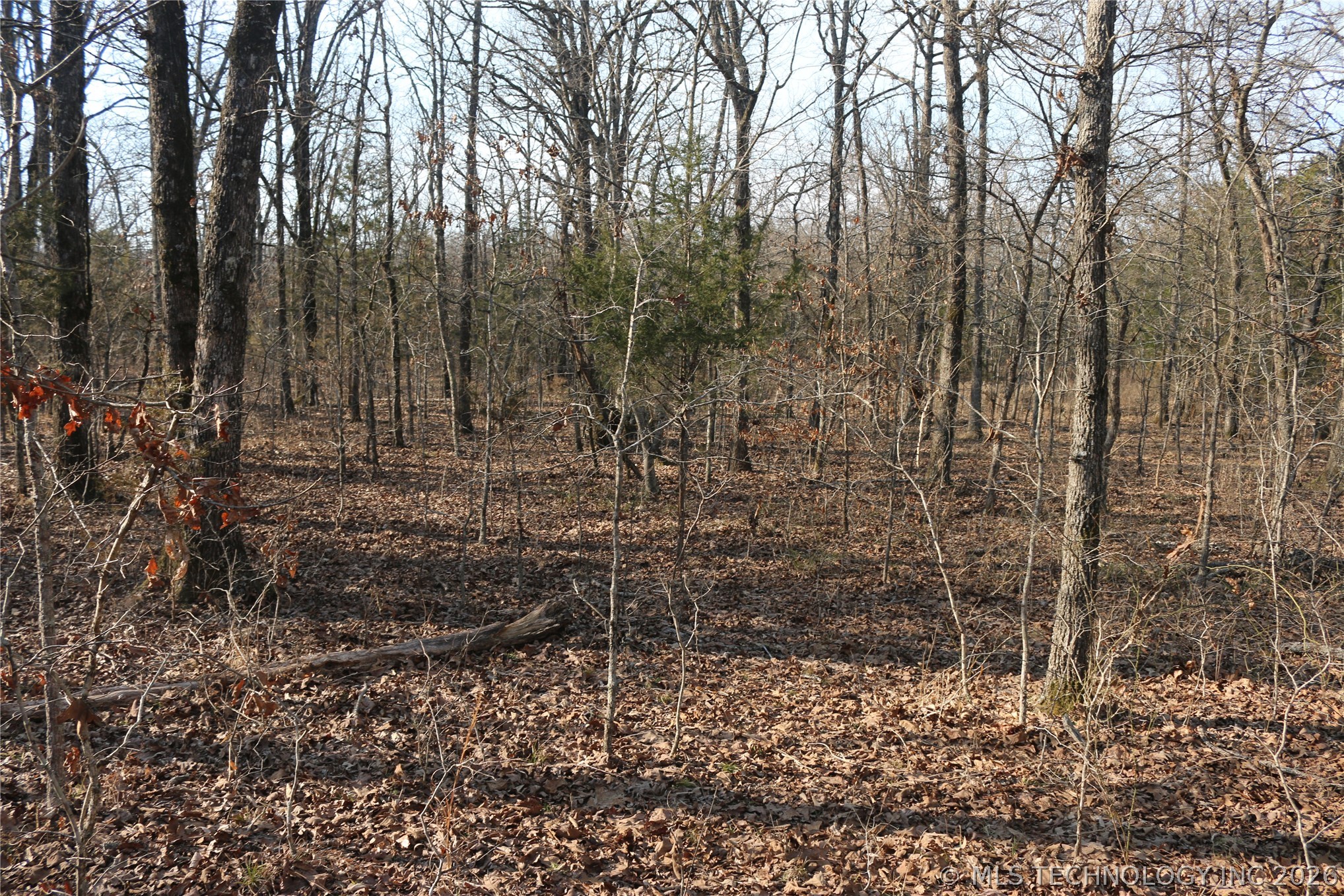 Kirk Mountain Property Photo 16