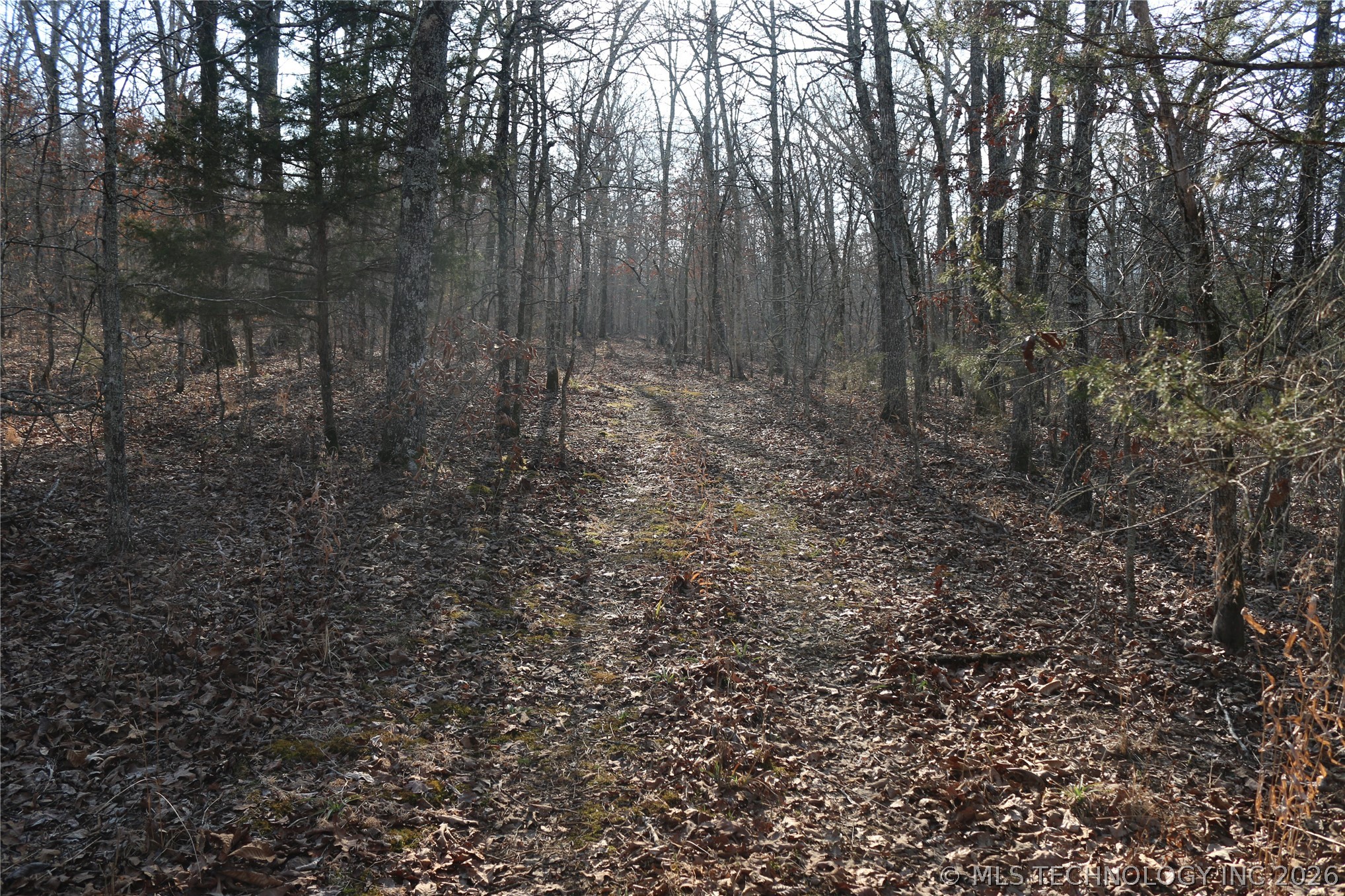Kirk Mountain Property Photo 18