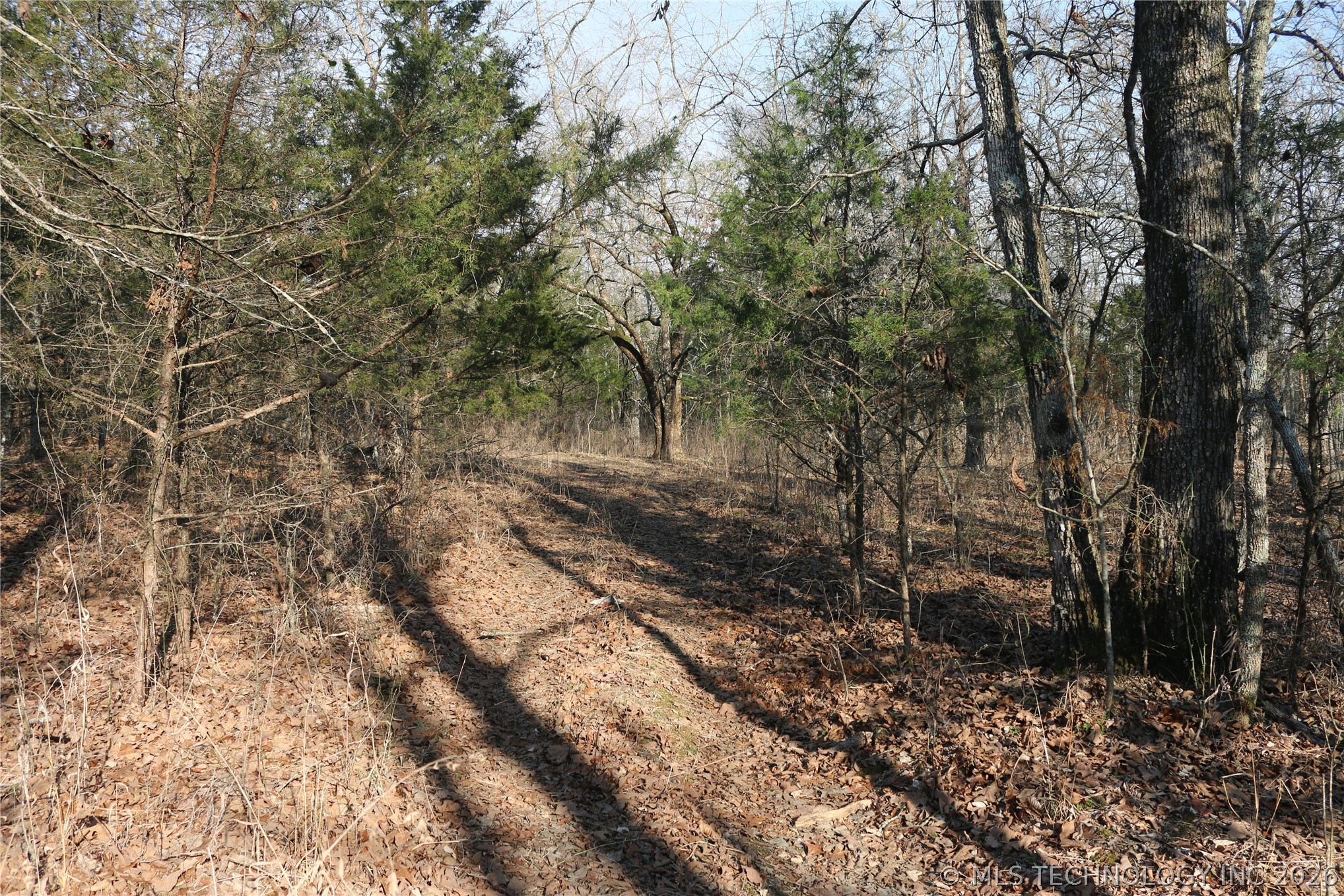 Kirk Mountain Property Photo 19