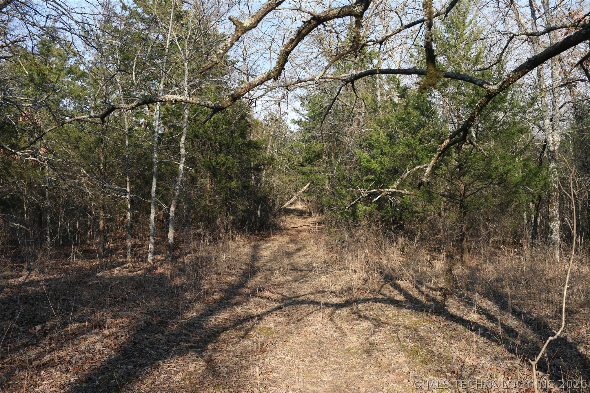 Kirk Mountain Property Photo 20