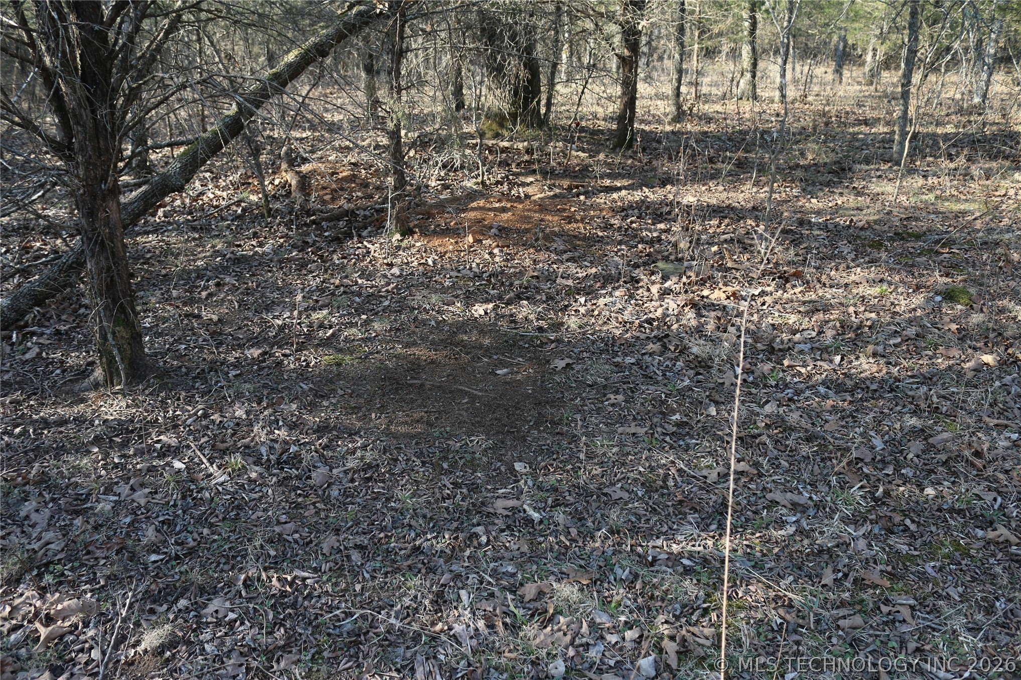 Kirk Mountain Property Photo 21