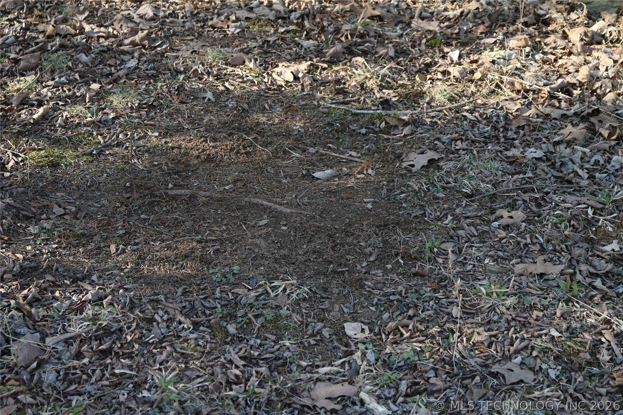 Kirk Mountain Property Photo 22