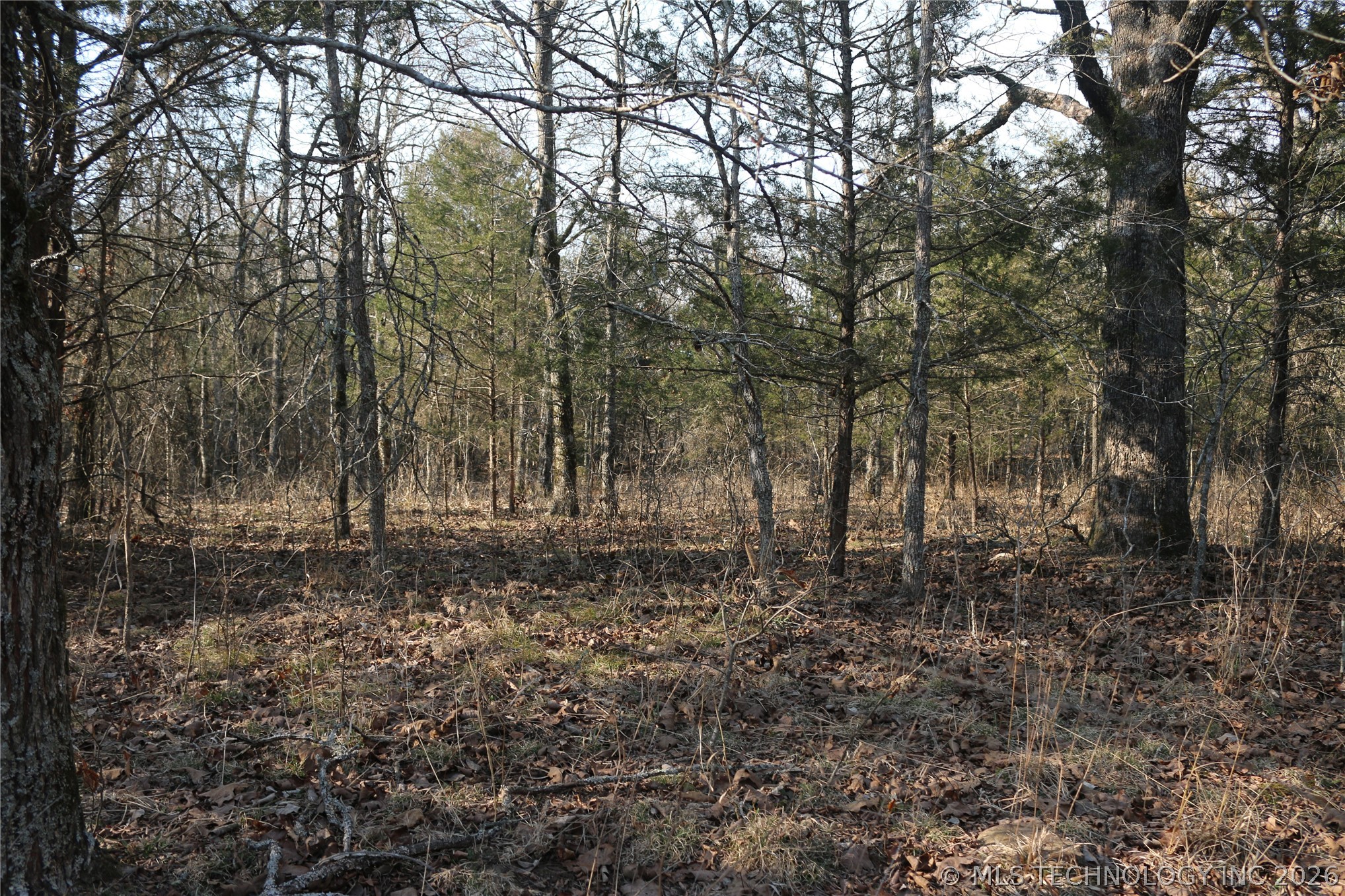 Kirk Mountain Property Photo 23