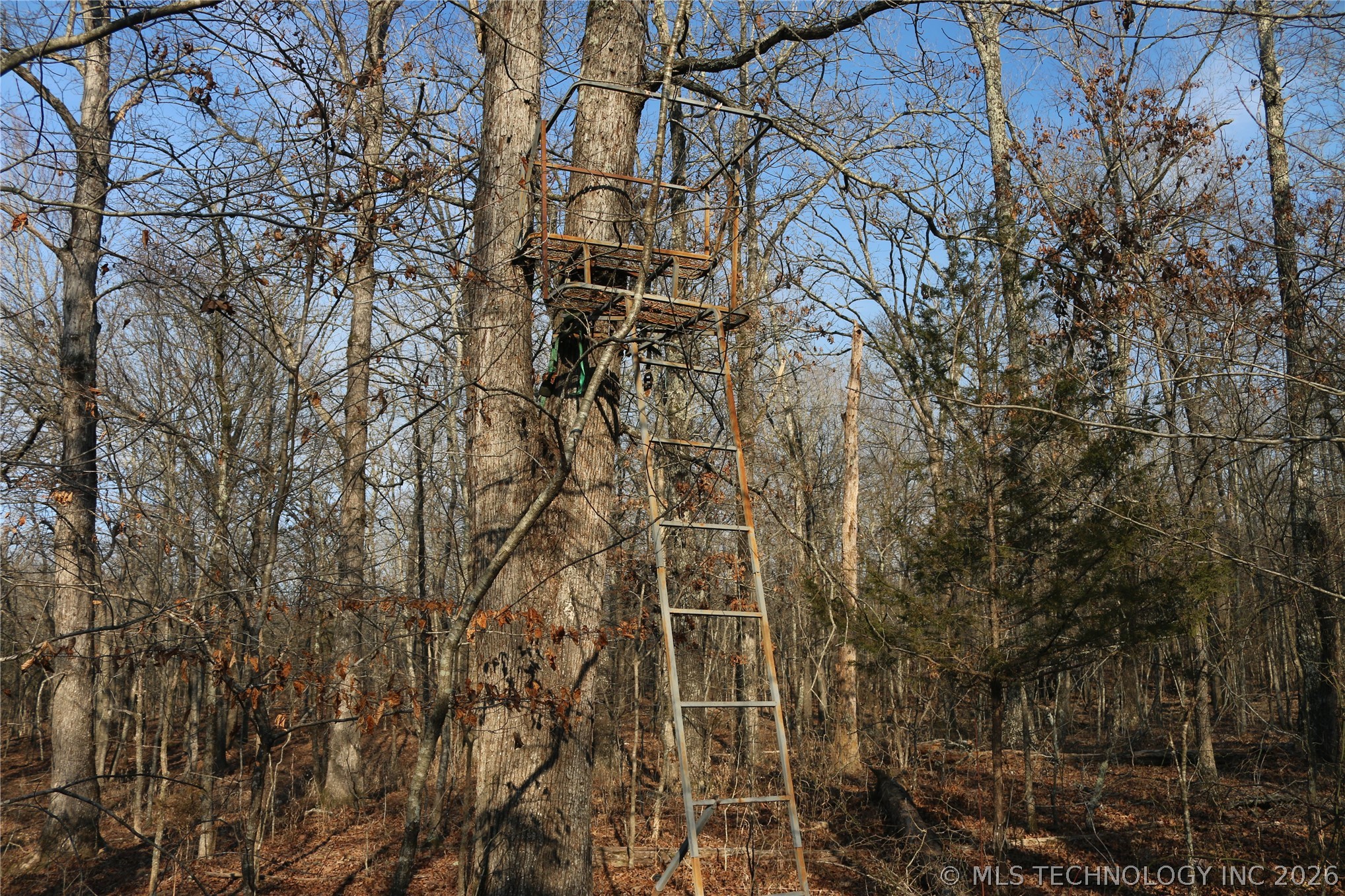 Kirk Mountain Property Photo 27