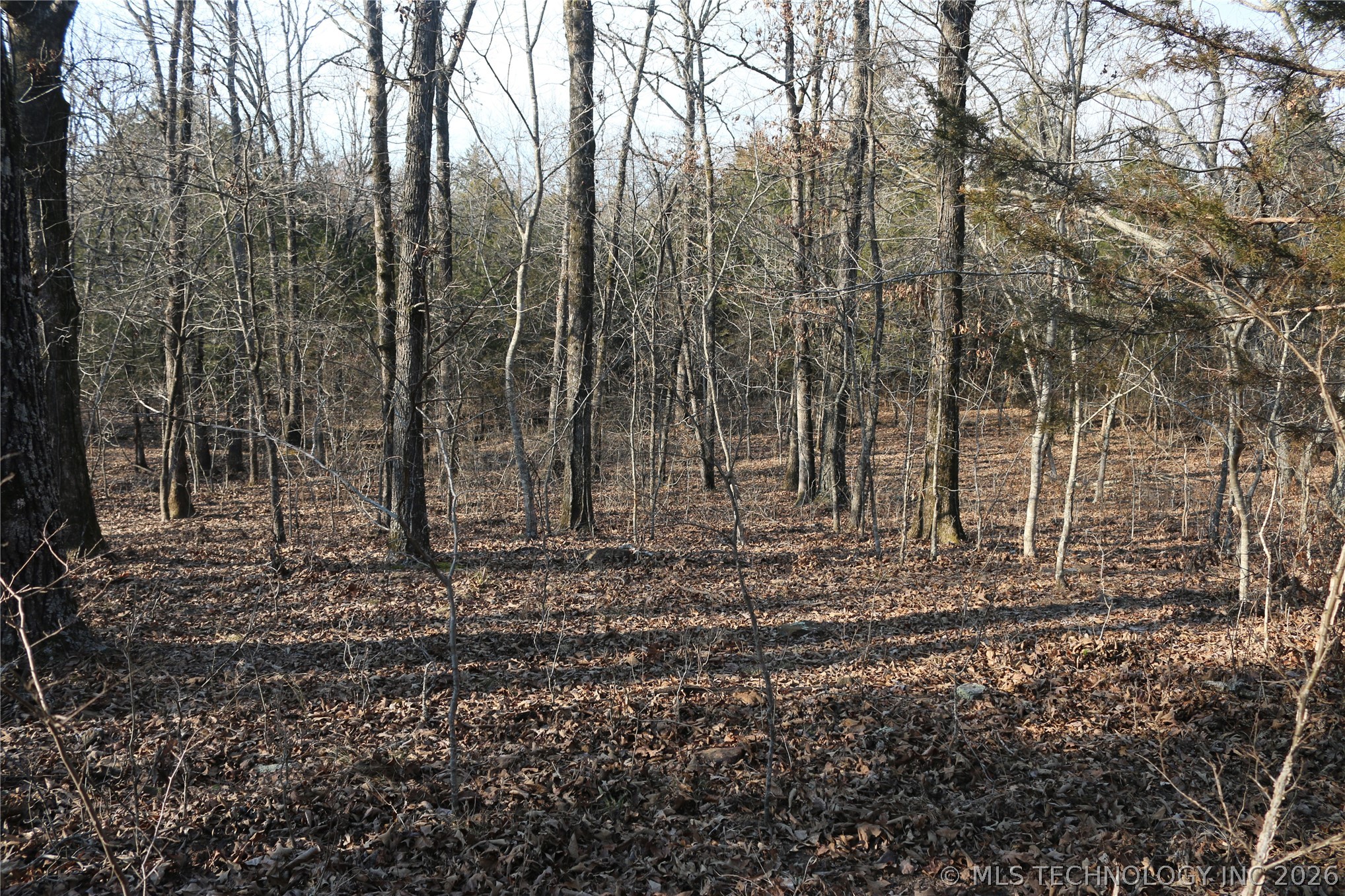 Kirk Mountain Property Photo 30