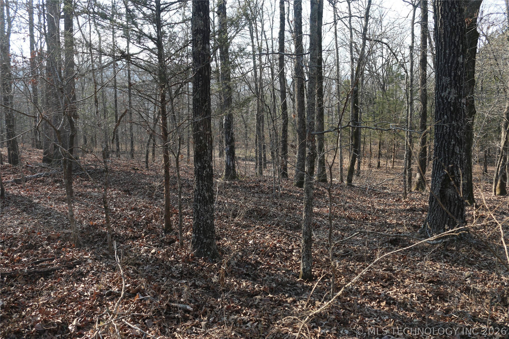 Kirk Mountain Property Photo 31