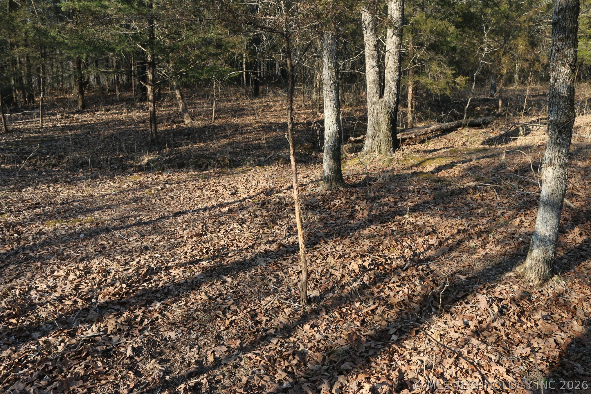 Kirk Mountain Property Photo 32