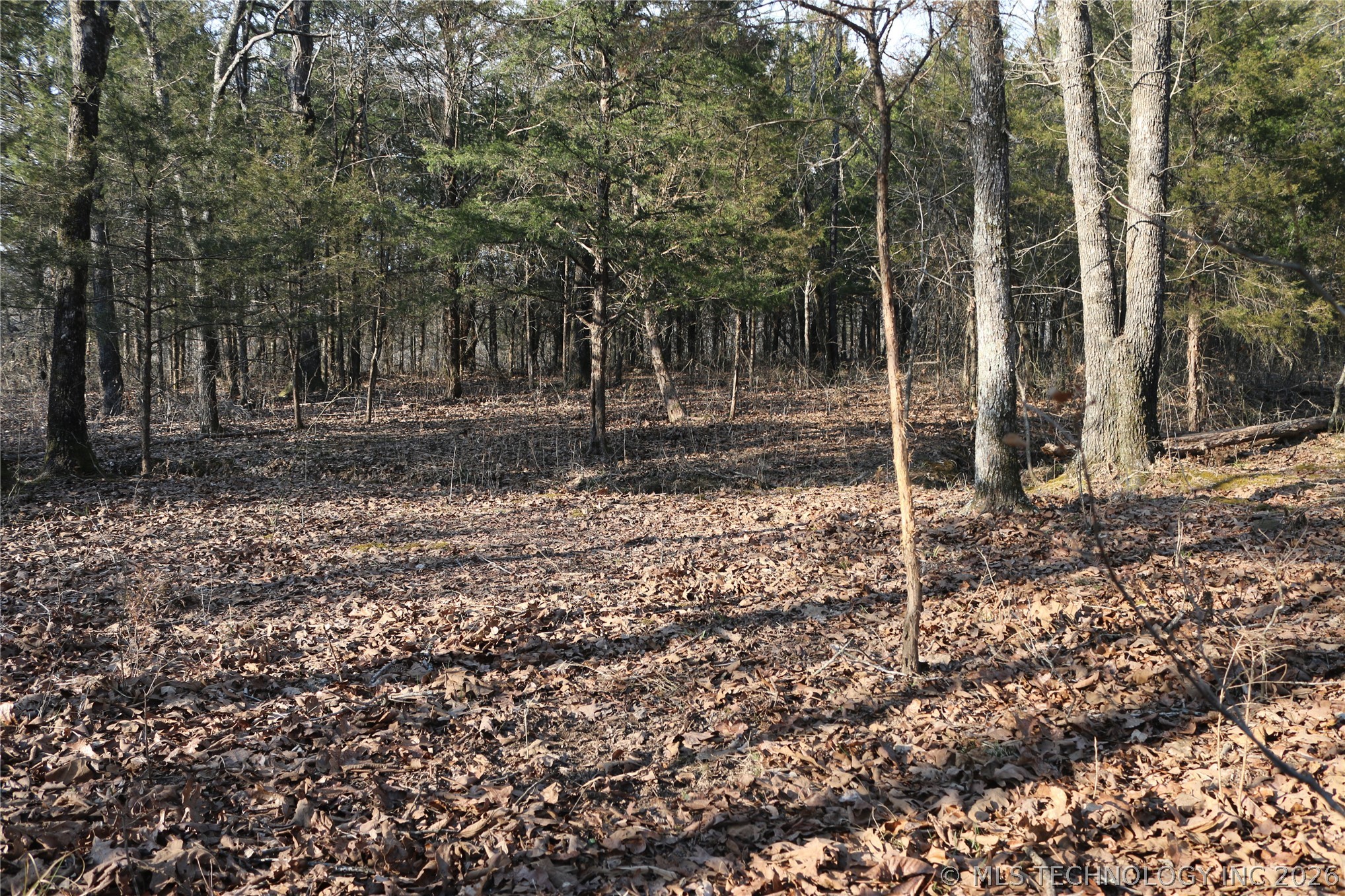 Kirk Mountain Property Photo 33