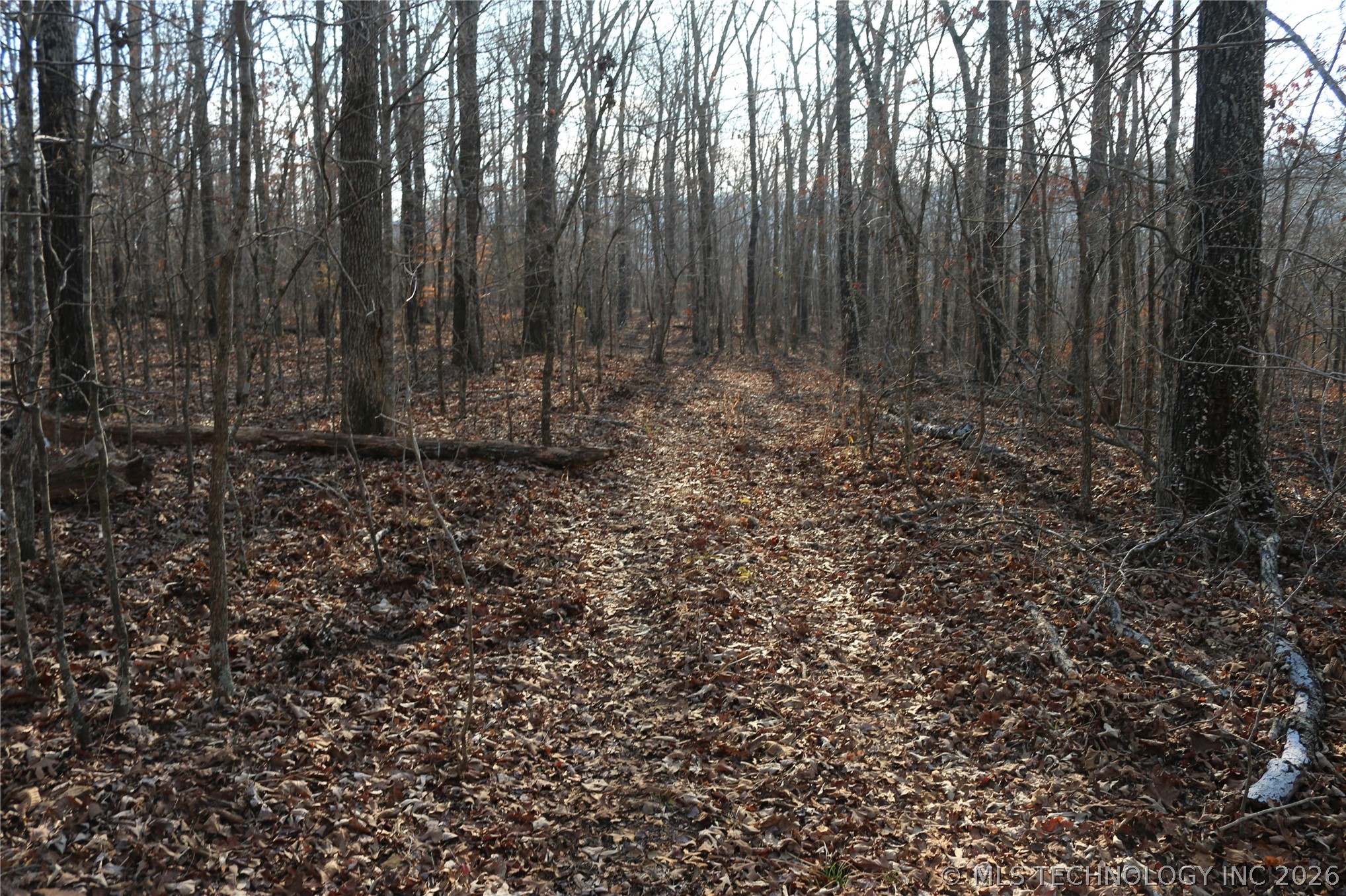Kirk Mountain Property Photo 34