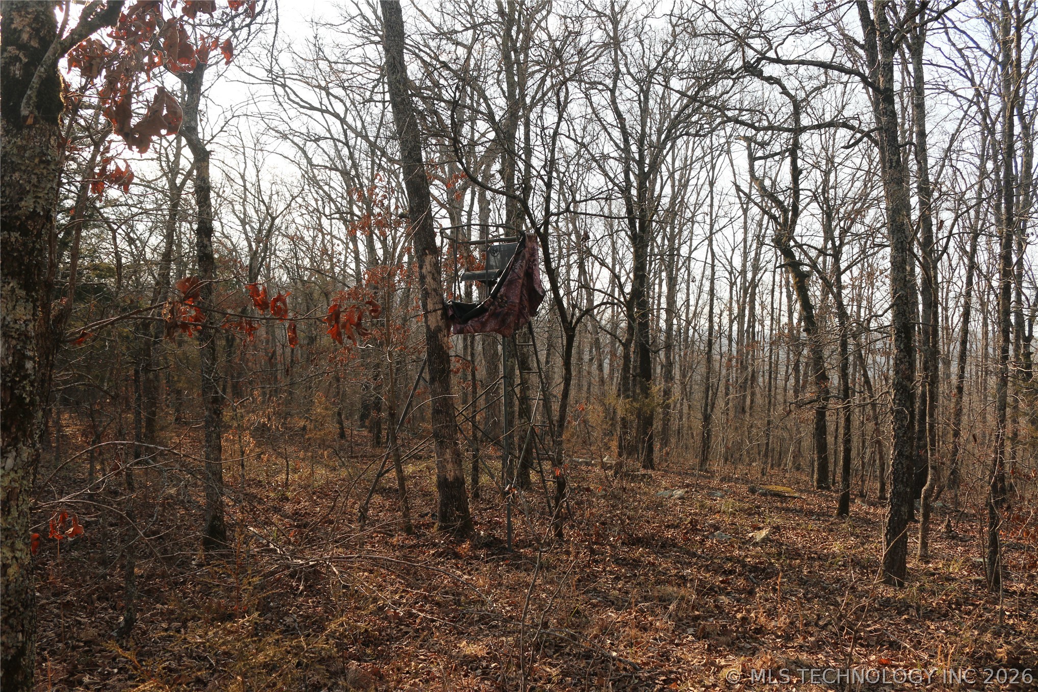 Kirk Mountain Property Photo 36