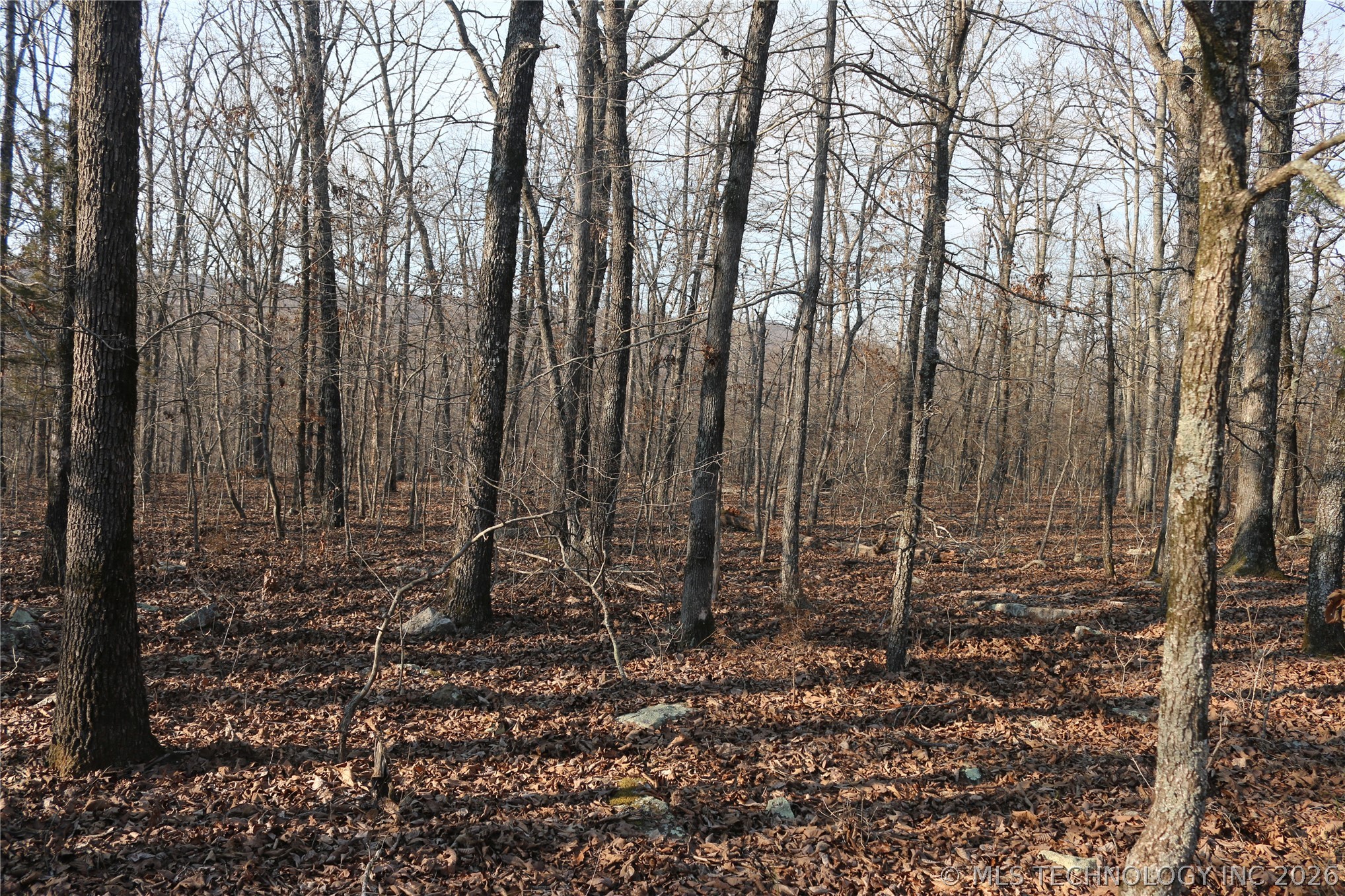 Kirk Mountain Property Photo 37