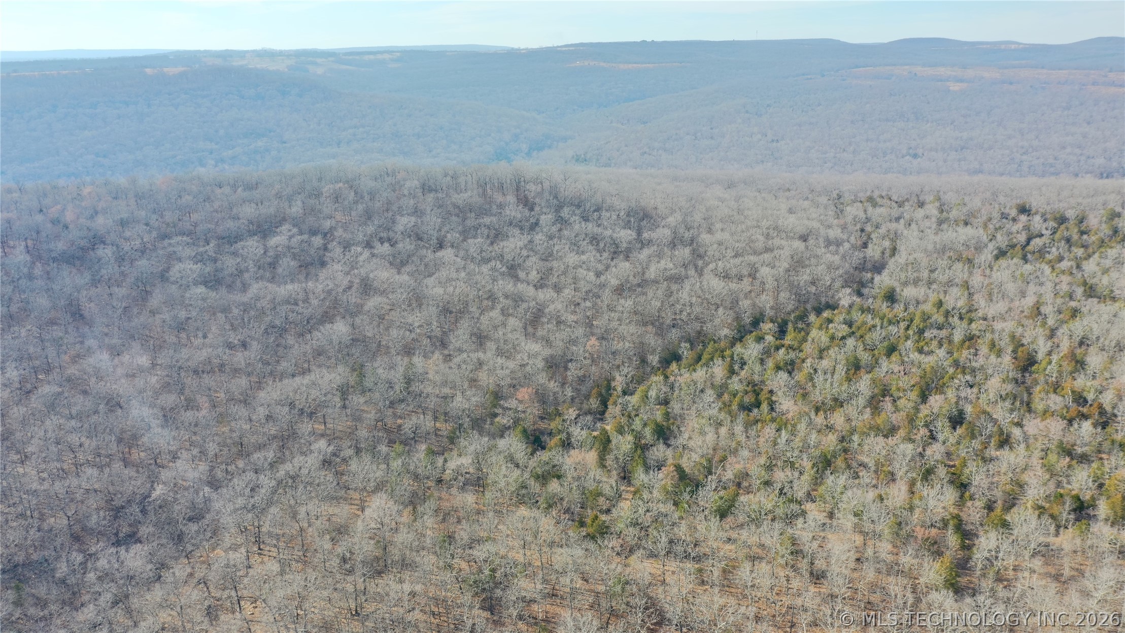 Kirk Mountain Property Photo 38