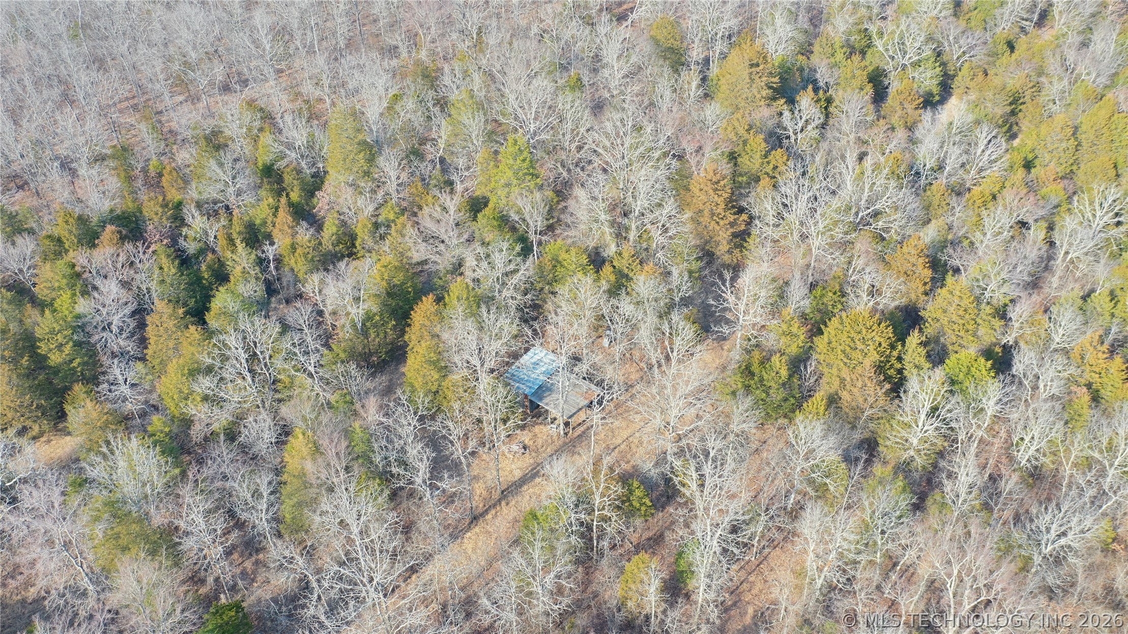 Kirk Mountain Property Photo 39