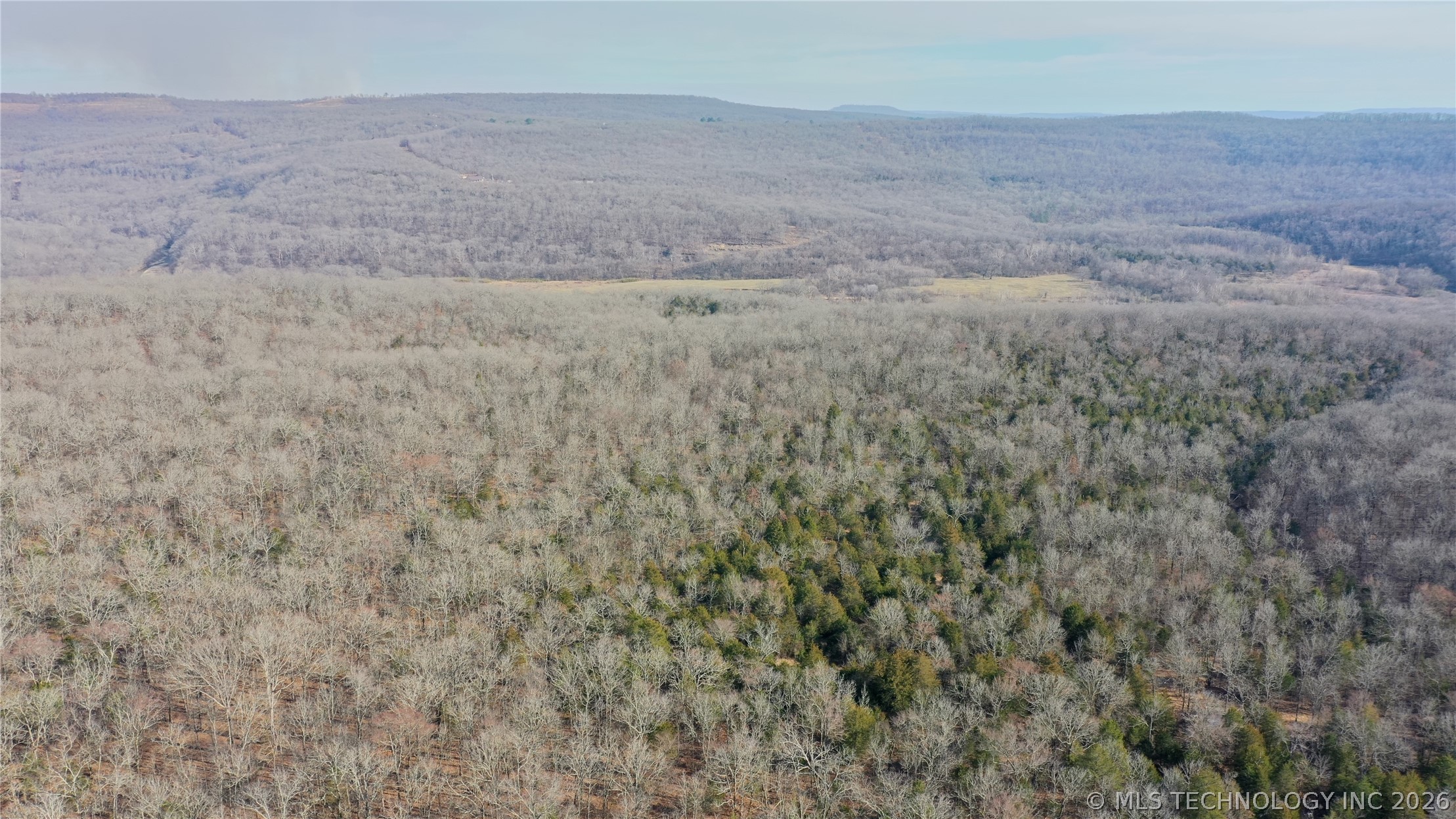 Kirk Mountain Property Photo 42