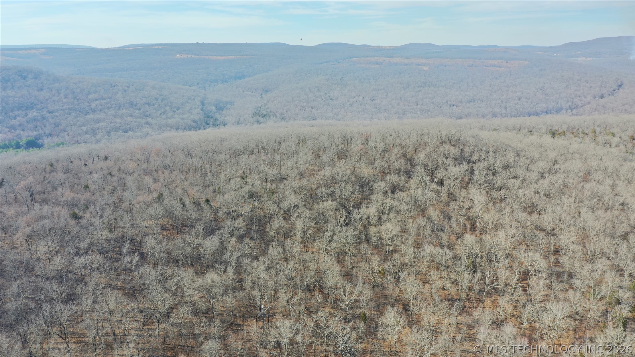 Kirk Mountain Property Photo 43