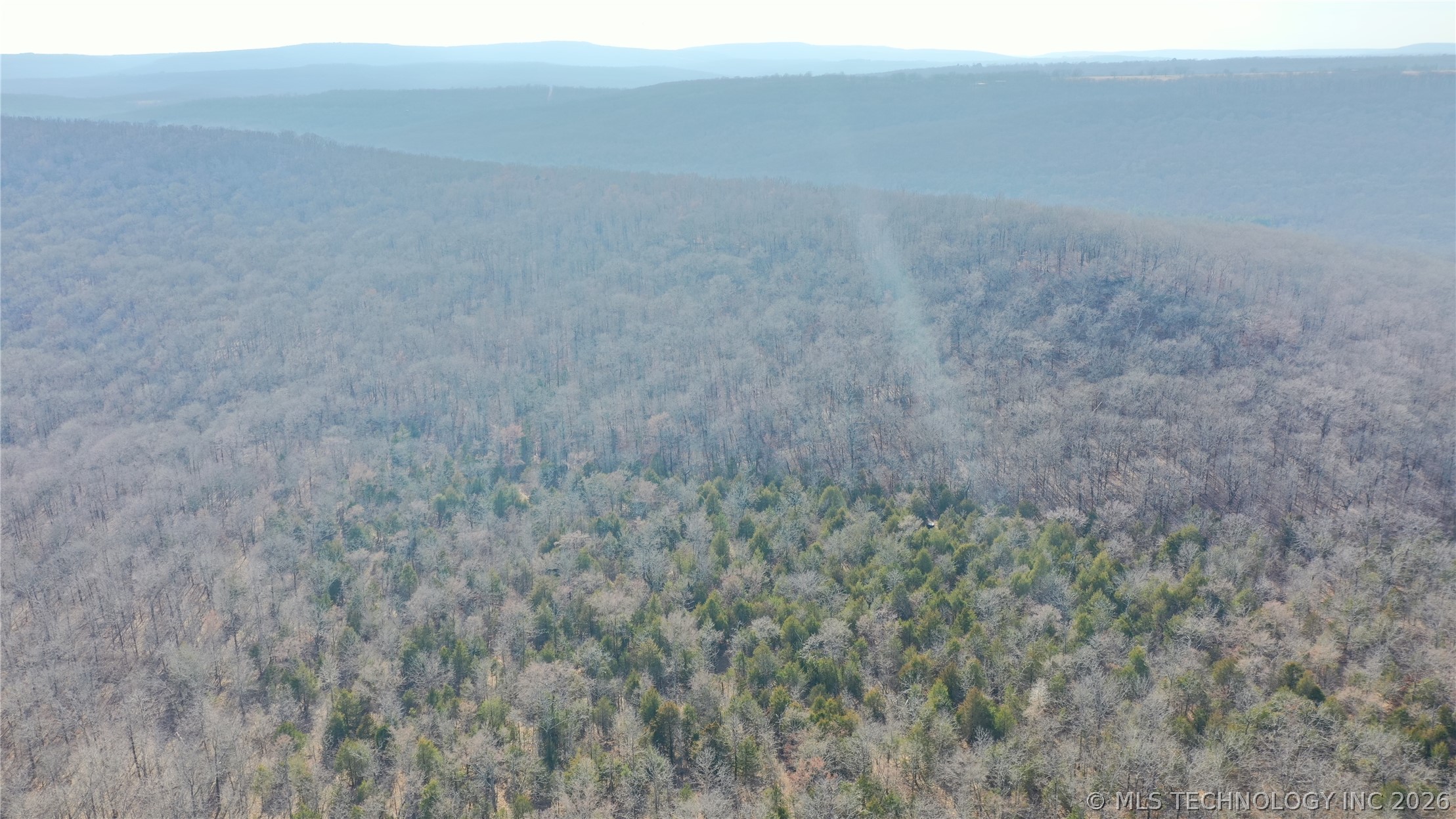 Kirk Mountain Property Photo 44