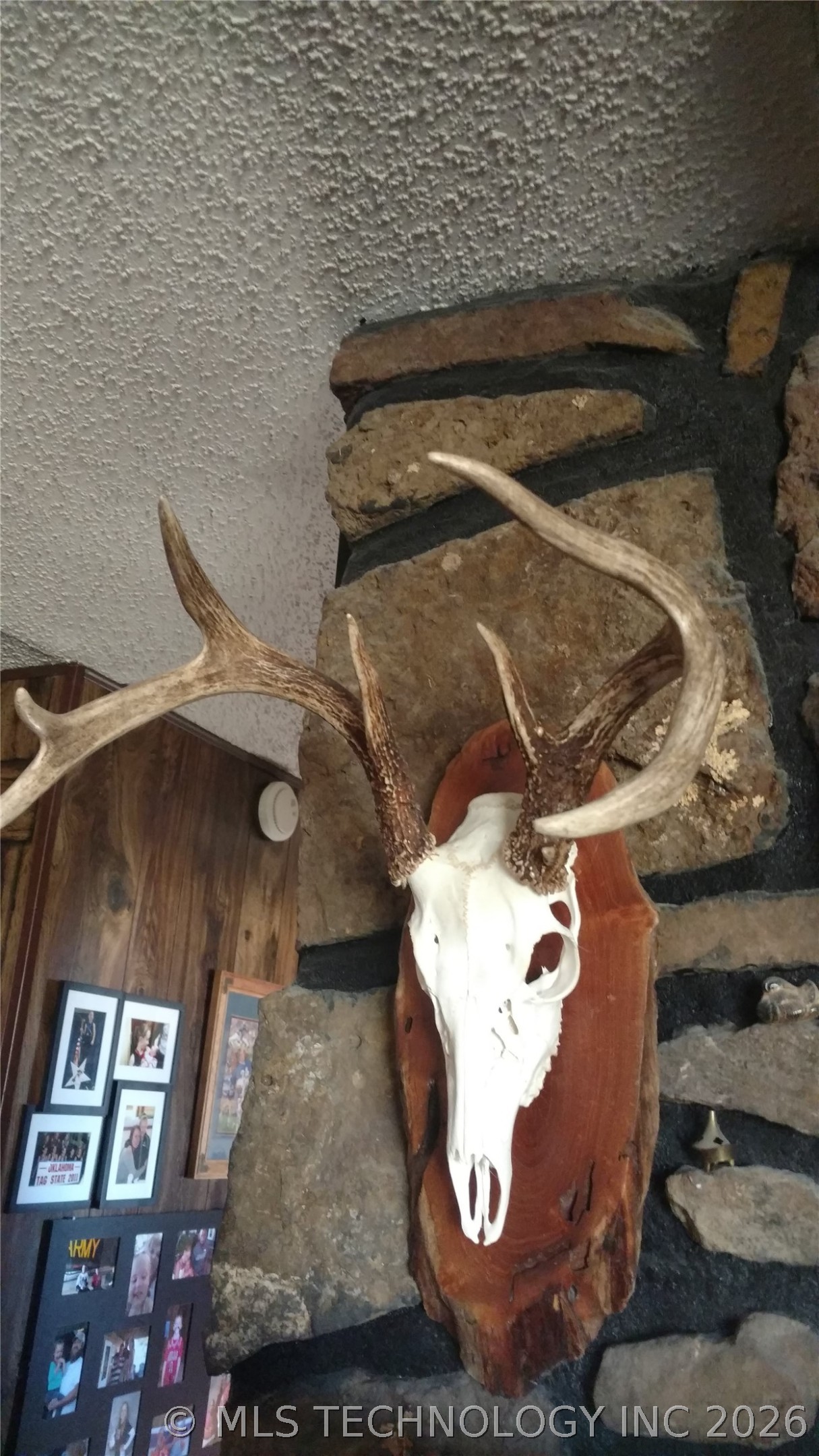 Kirk Mountain Property Photo 47