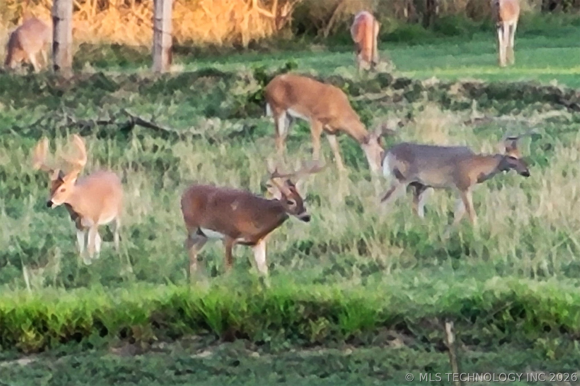 5413 N 105th West Avenue Property Photo 7