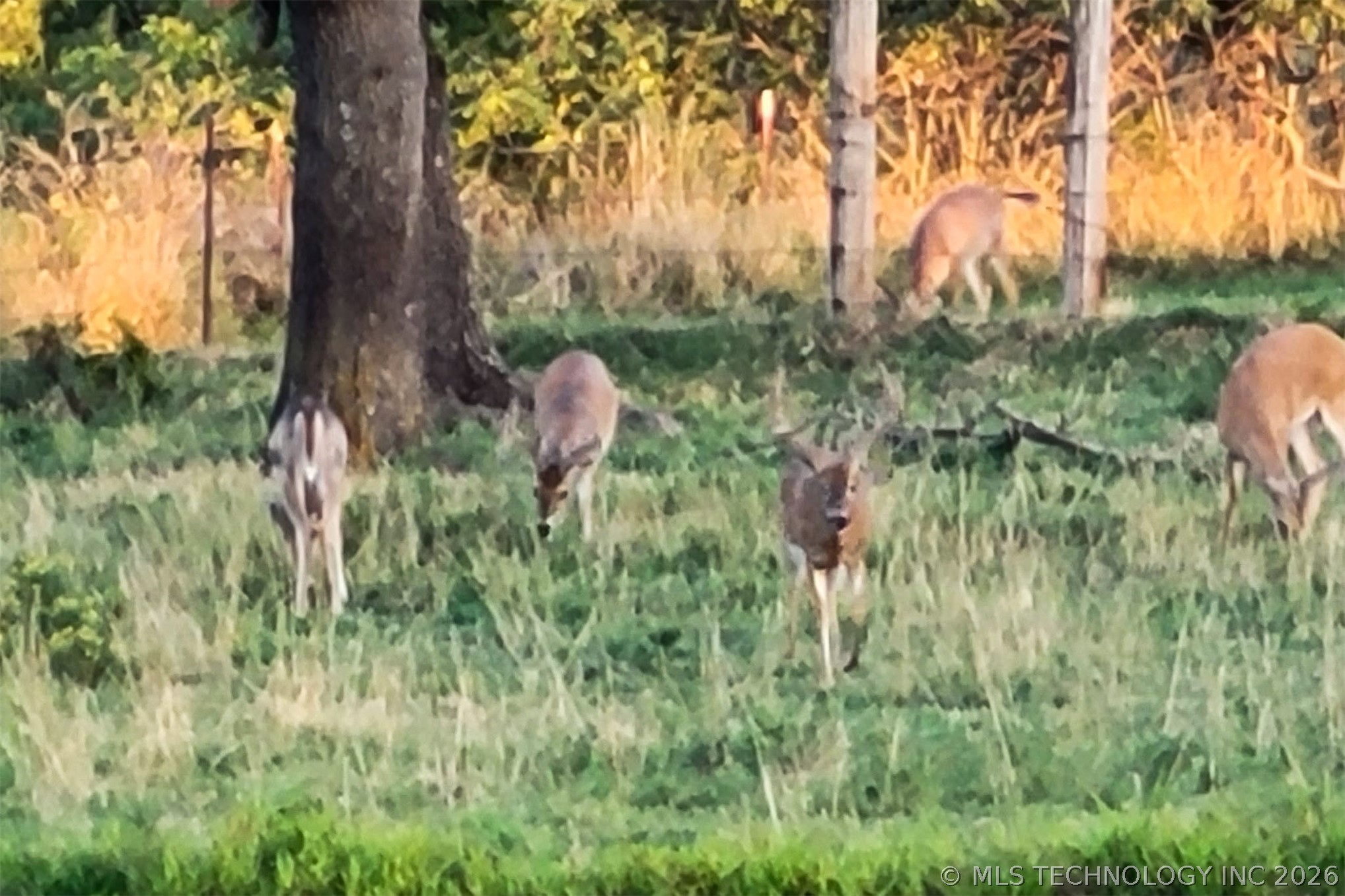 5413 N 105th West Avenue Property Photo 9