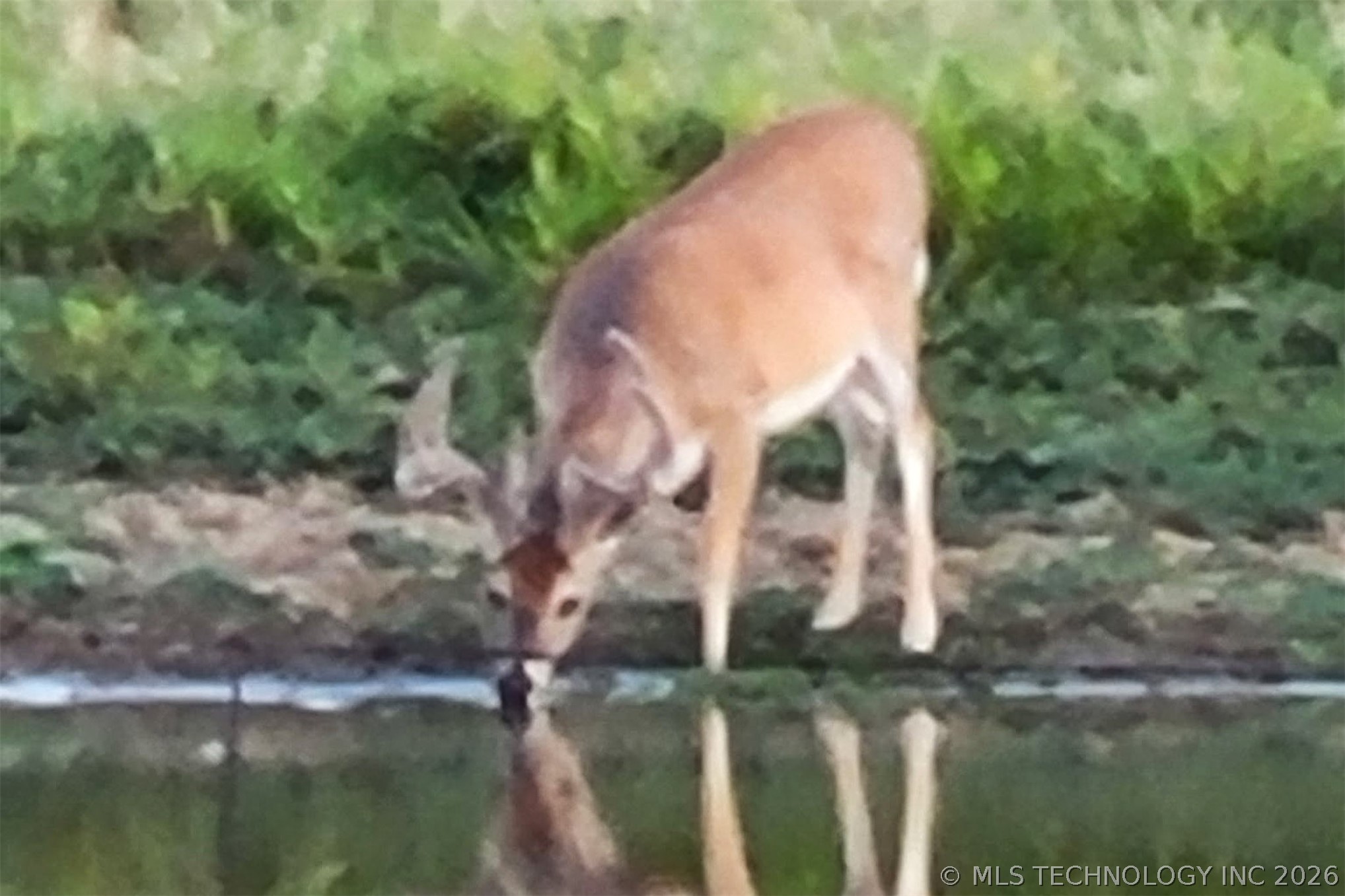 5413 N 105th West Avenue Property Photo 31