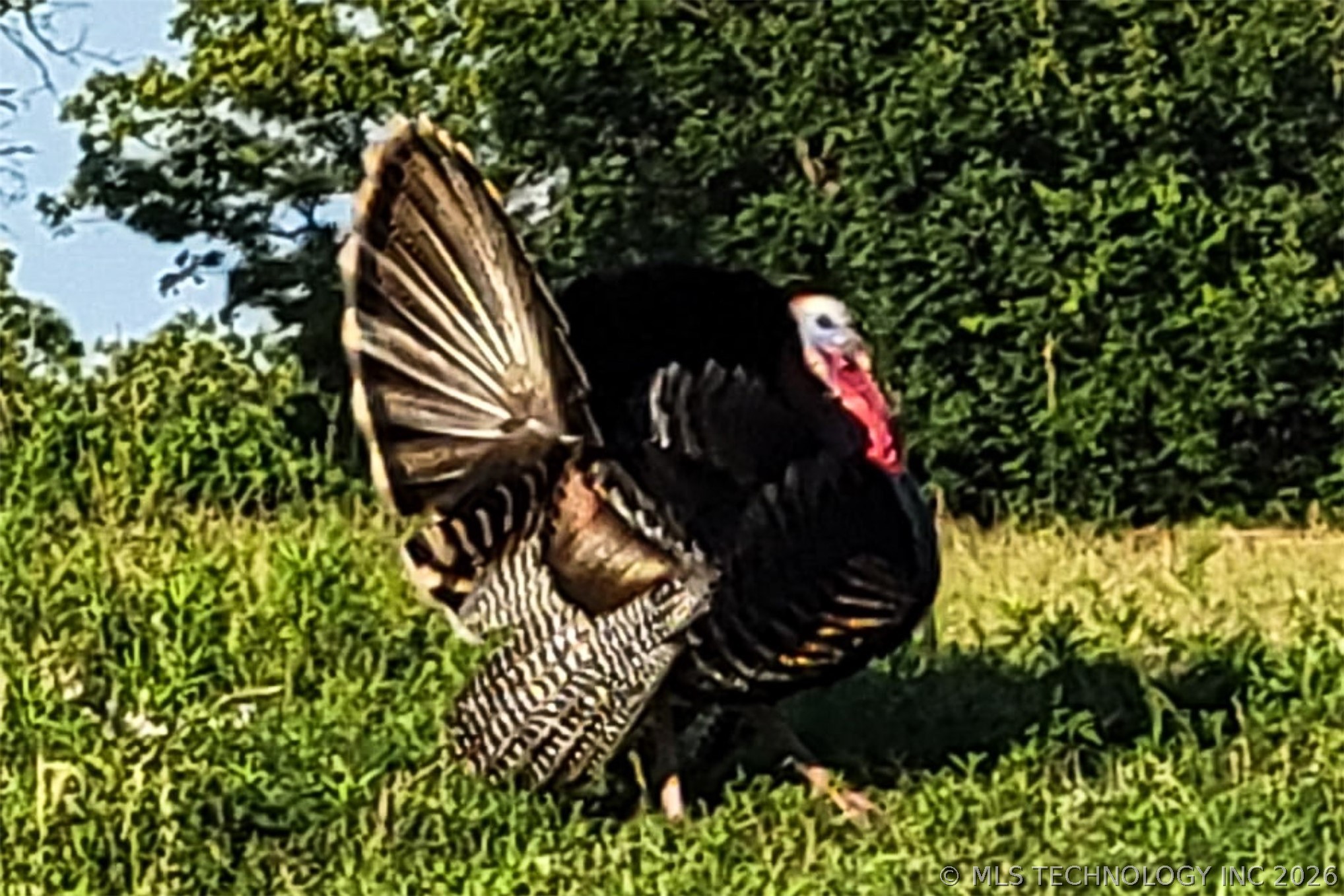 5413 N 105th West Avenue Property Photo 38