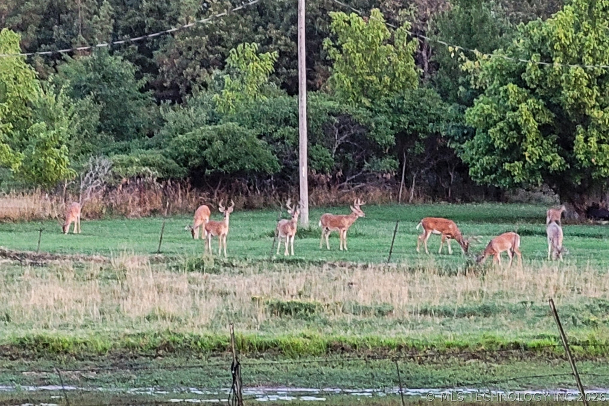 5413 N 105th West Avenue Property Photo 50