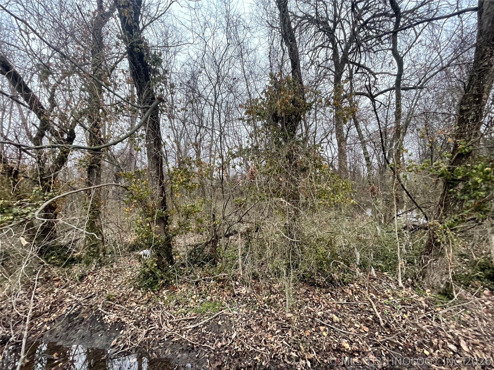 23rd Street Property Photo 2