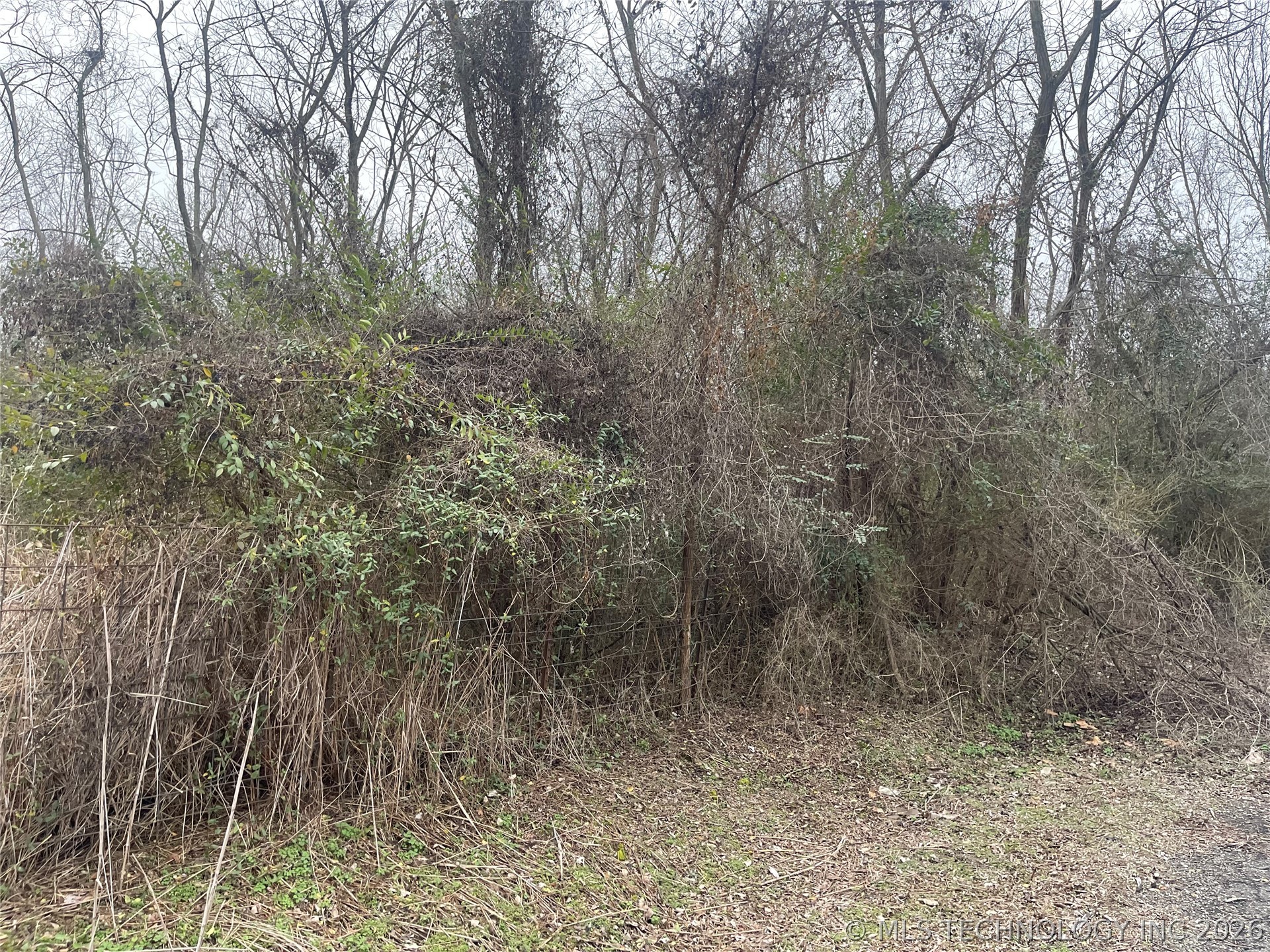 1107 Lincoln Street Property Photo 1