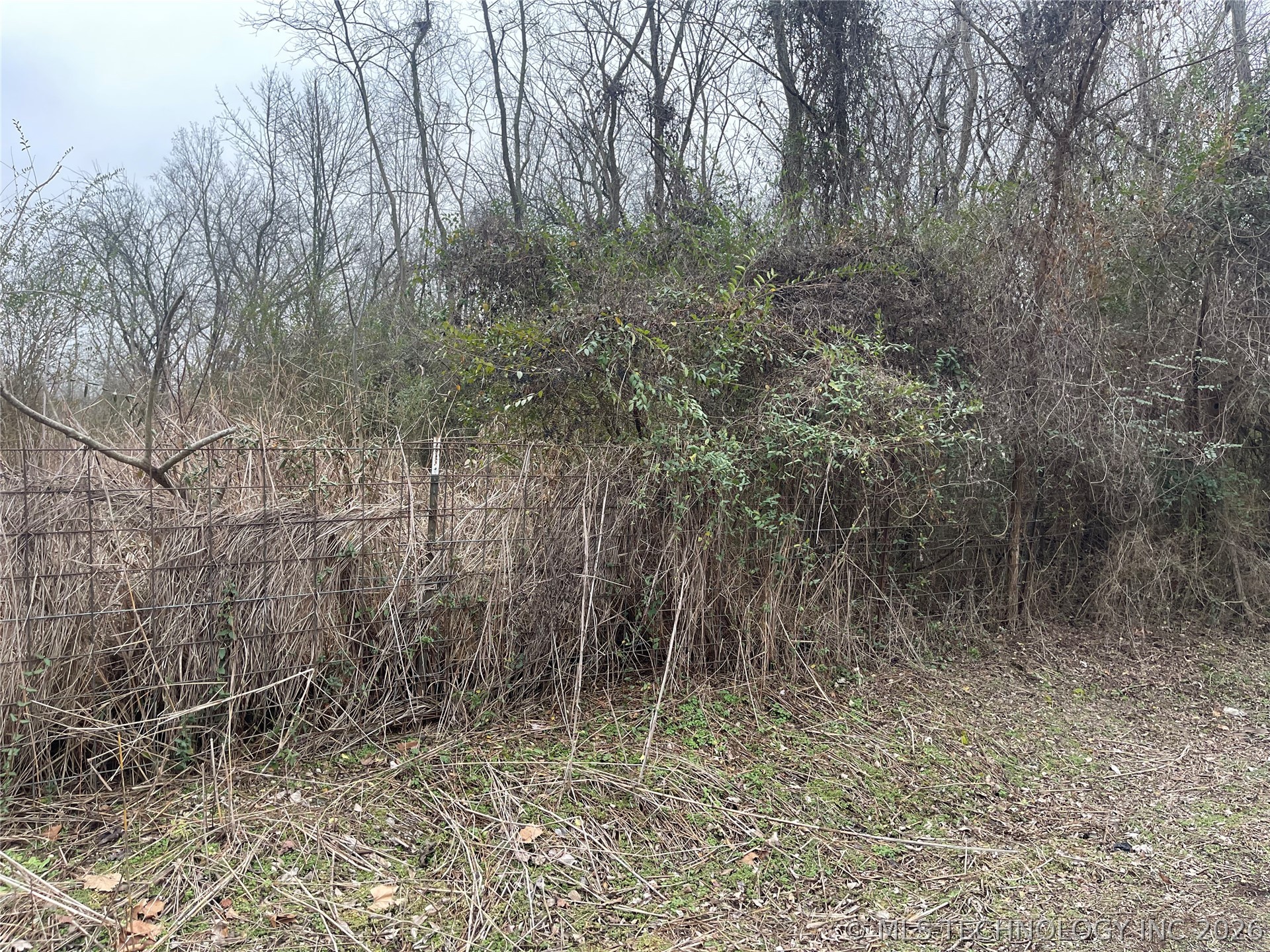 1107 Lincoln Street Property Photo 2