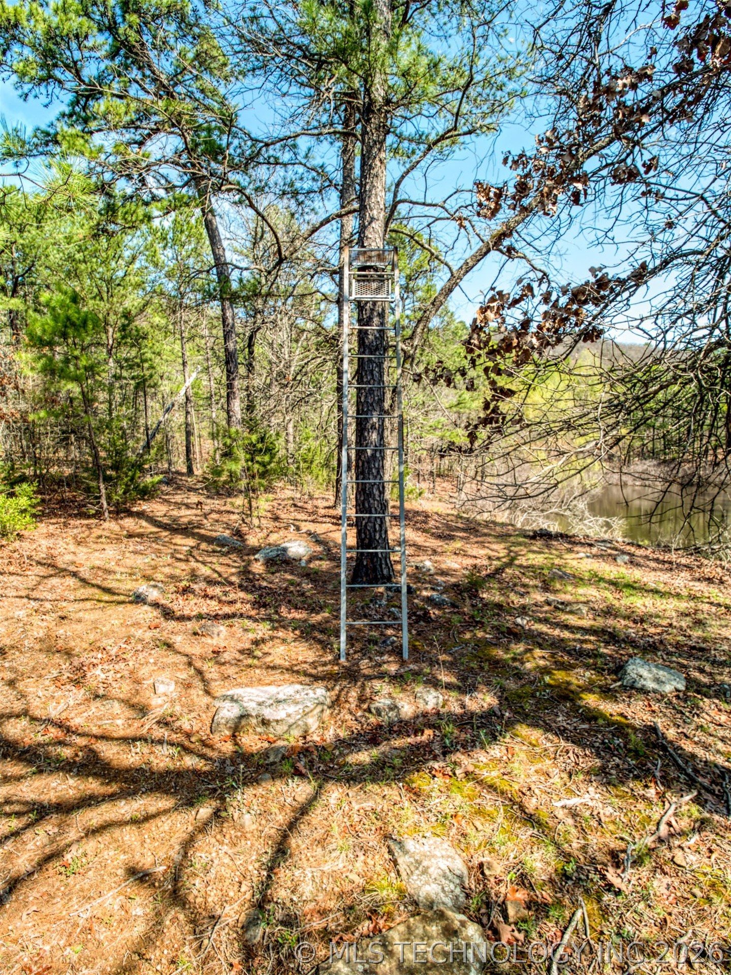 31541 W County Road 1350 Property Photo 12