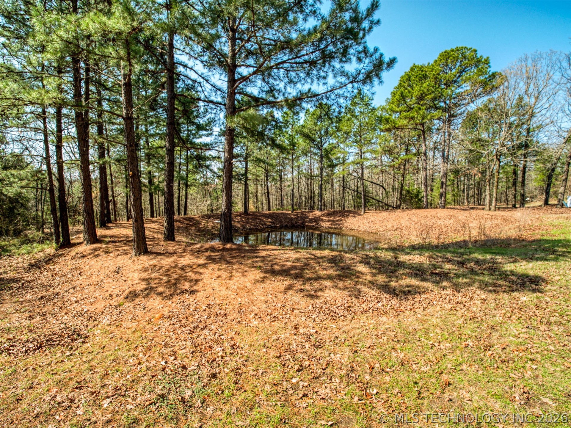 31541 W County Road 1350 Property Photo 26