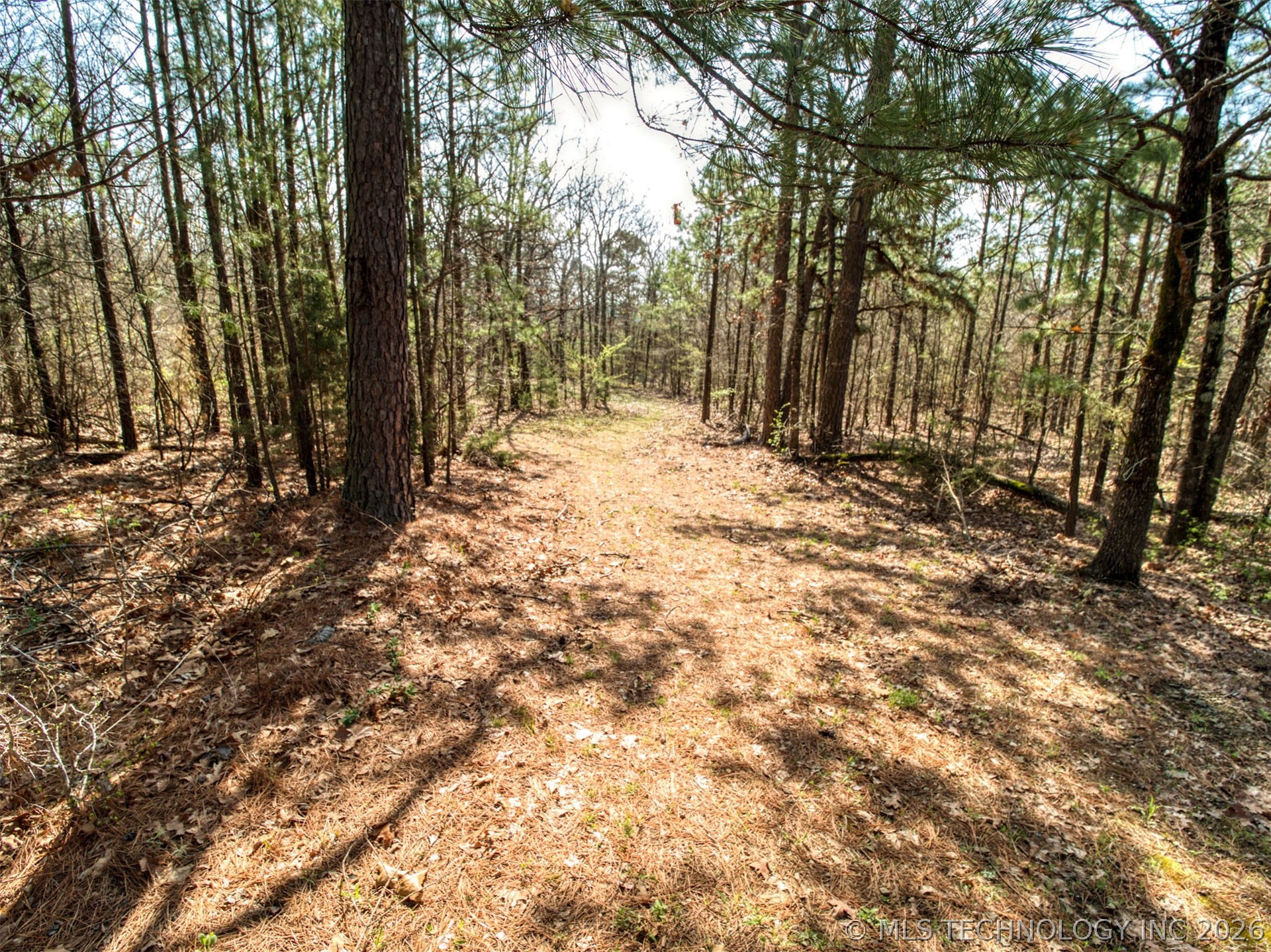 31541 W County Road 1350 Property Photo 27