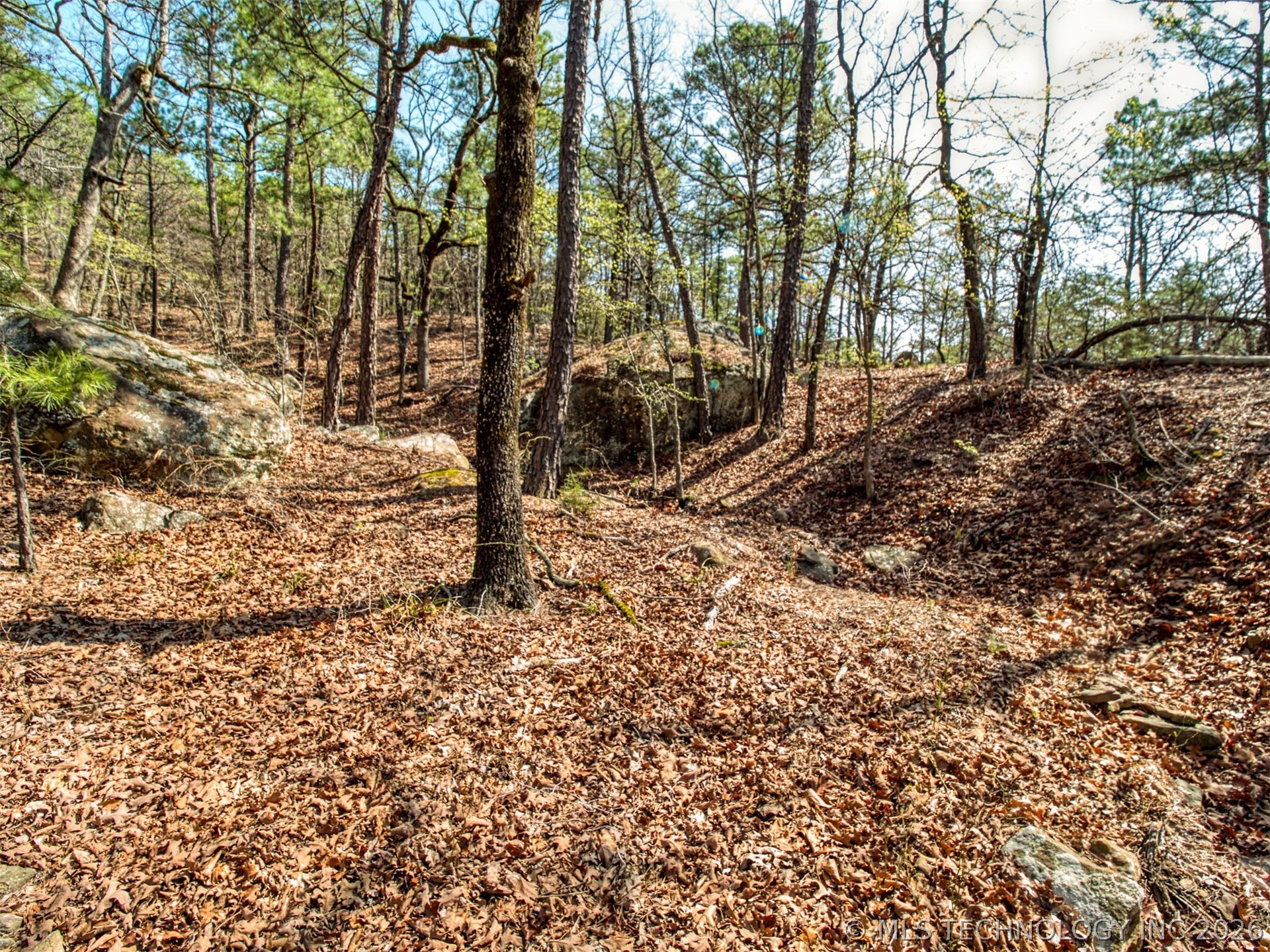 31541 W County Road 1350 Property Photo 29