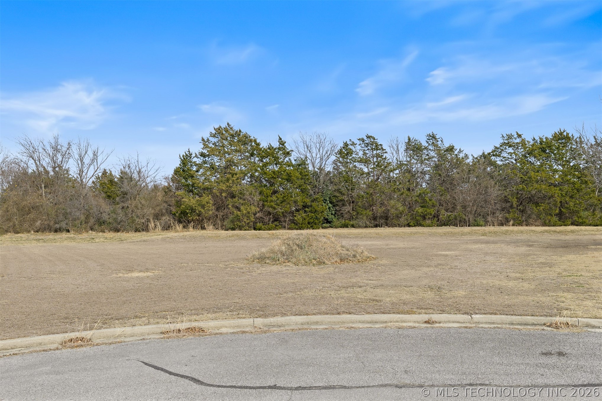 2205 Torrey Property Photo 7