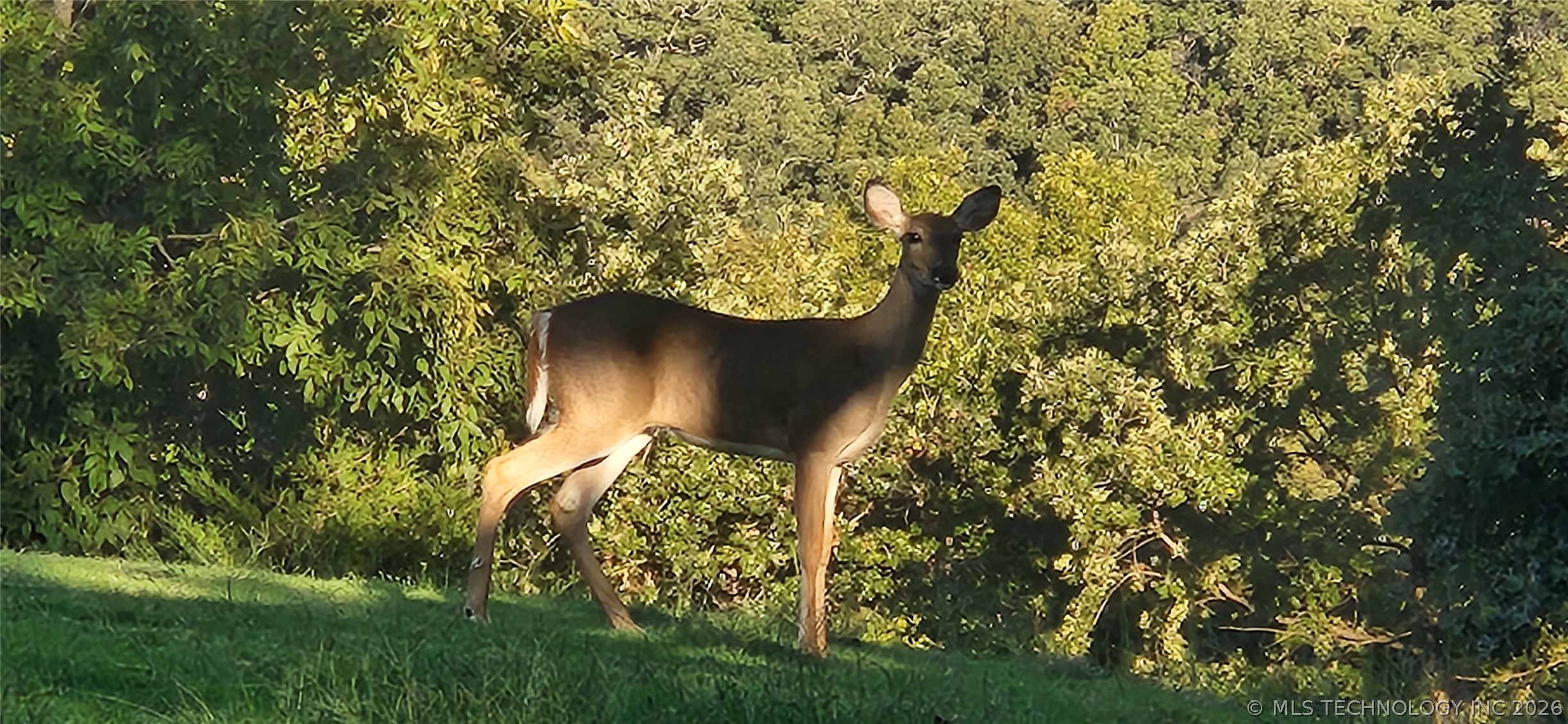 15040 Scenic Circle Property Photo 76