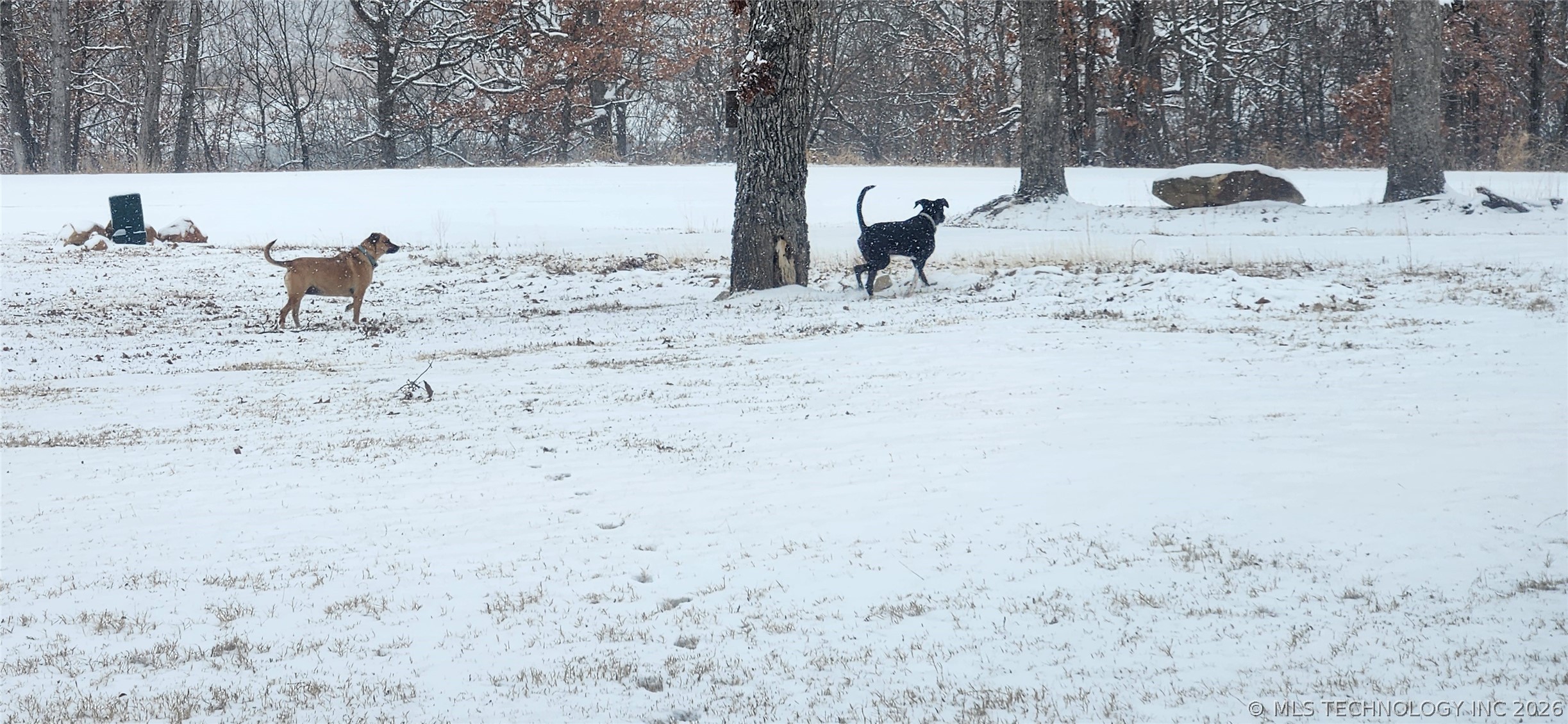 15040 Scenic Circle Property Photo 80