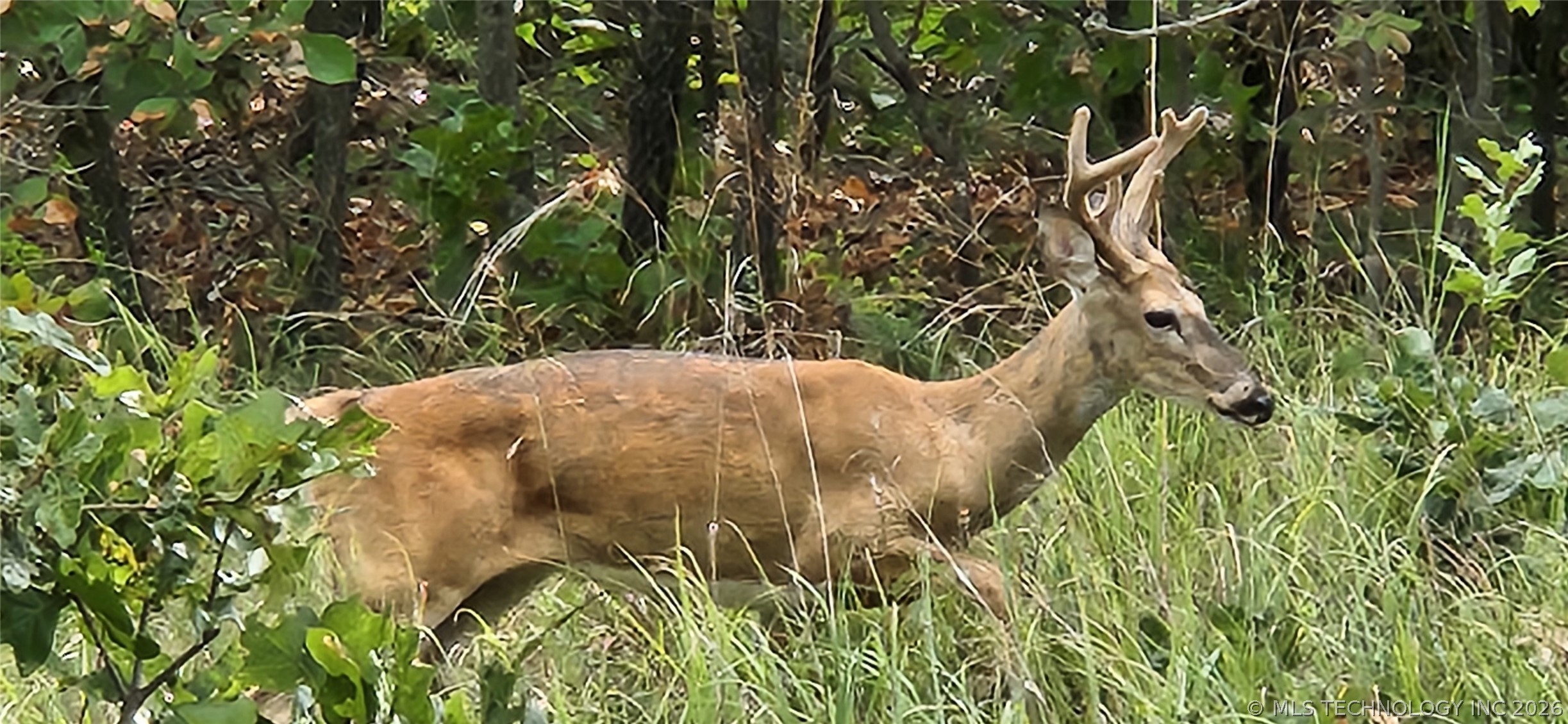 15040 Scenic Circle Property Photo 90