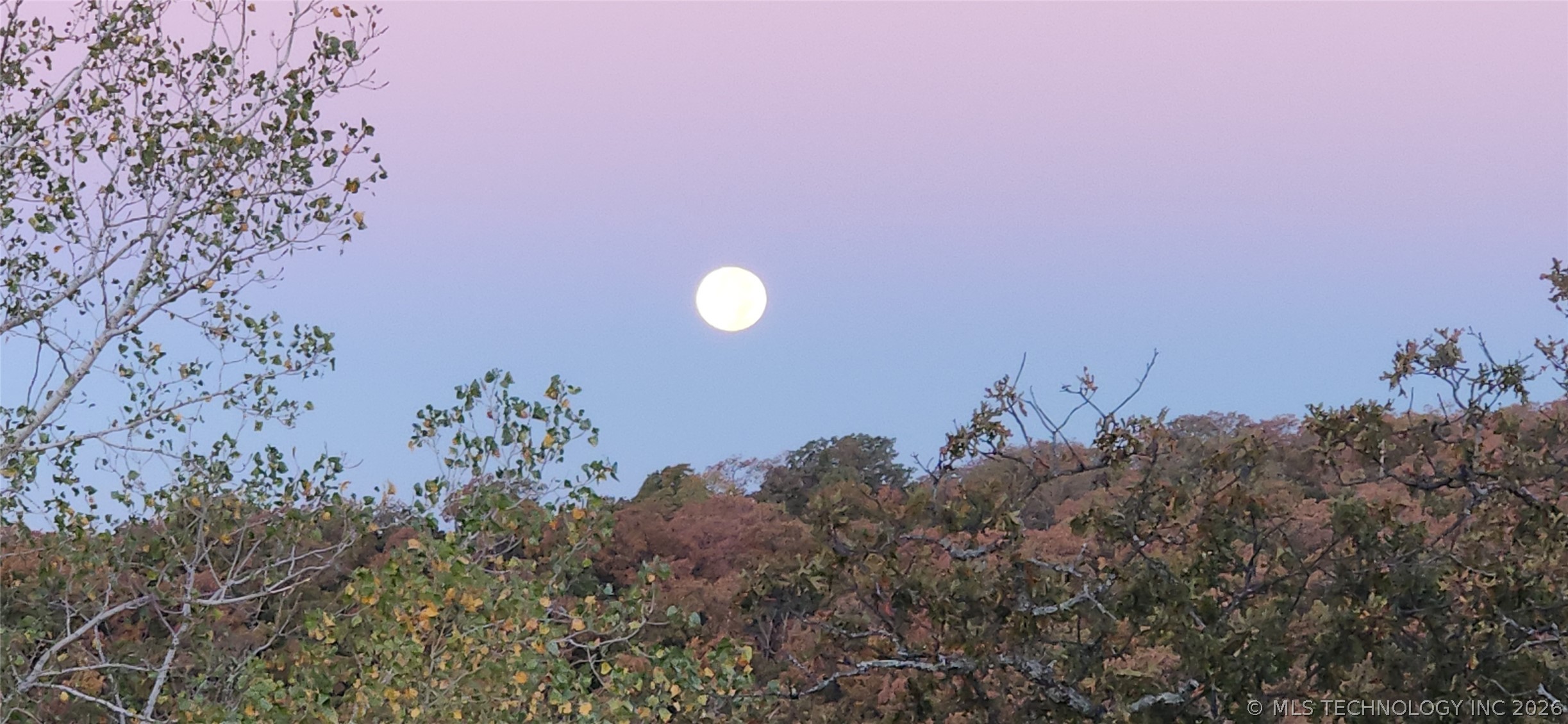 15040 Scenic Circle Property Photo 92