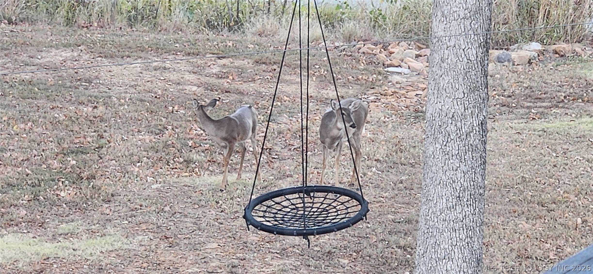 15040 Scenic Circle Property Photo 93