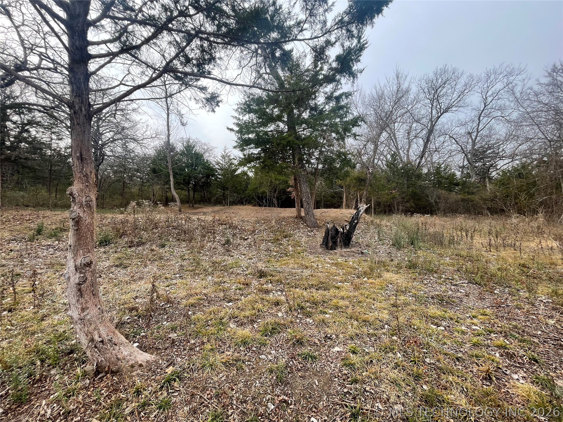 1327 Mcclain Rd Road Property Photo 6