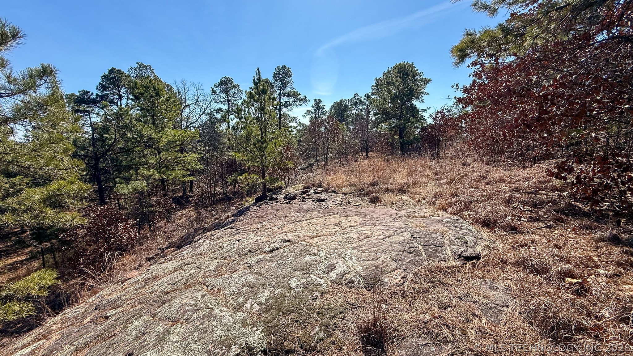 Burris Valley Road Property Photo 30