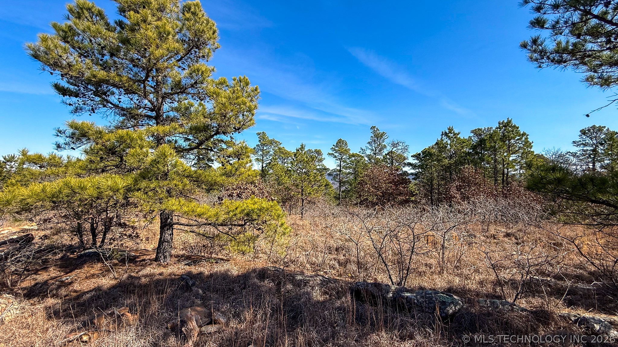 Burris Valley Road Property Photo 36