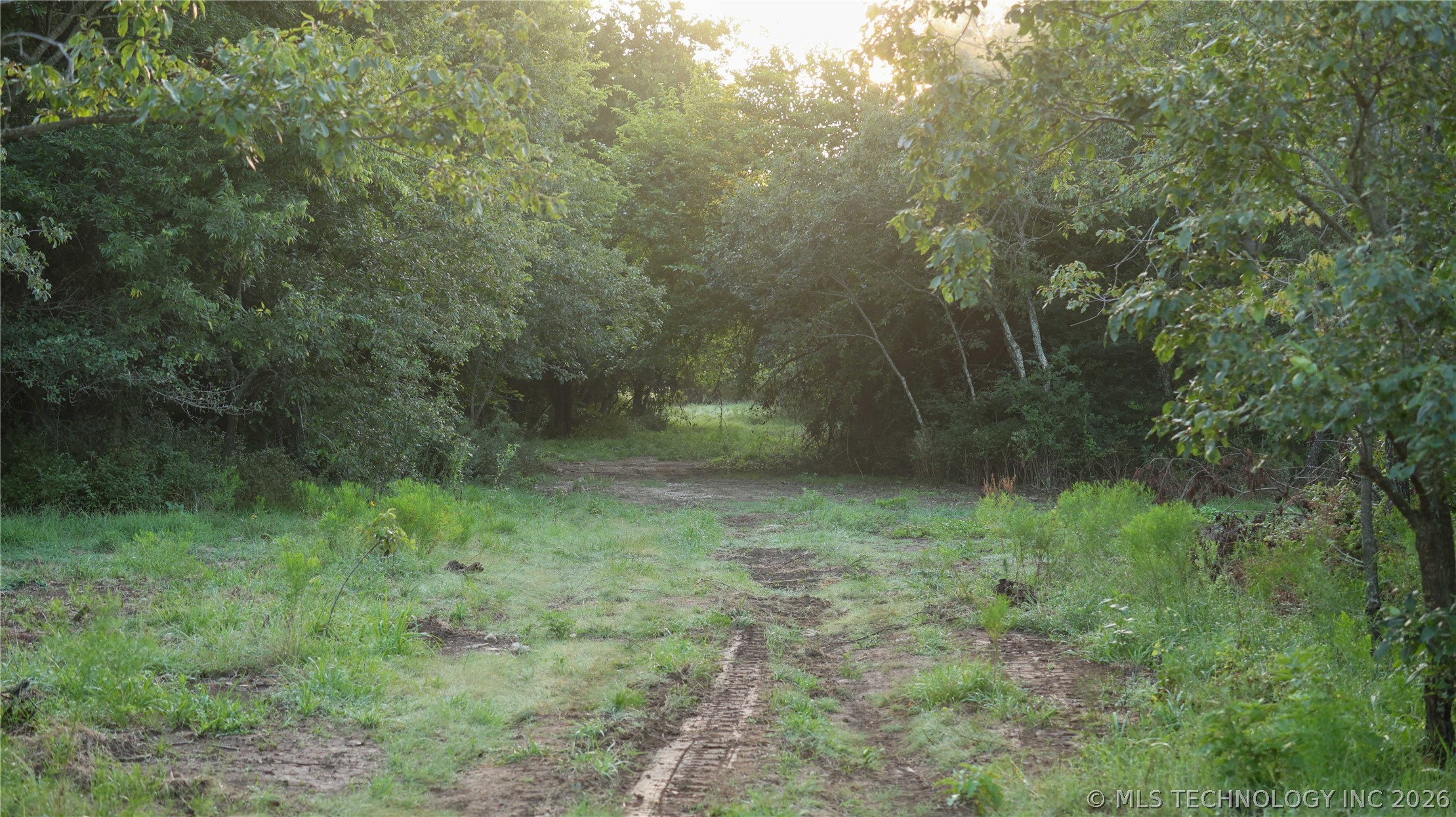 001 E County Road 1650 Property Photo 10