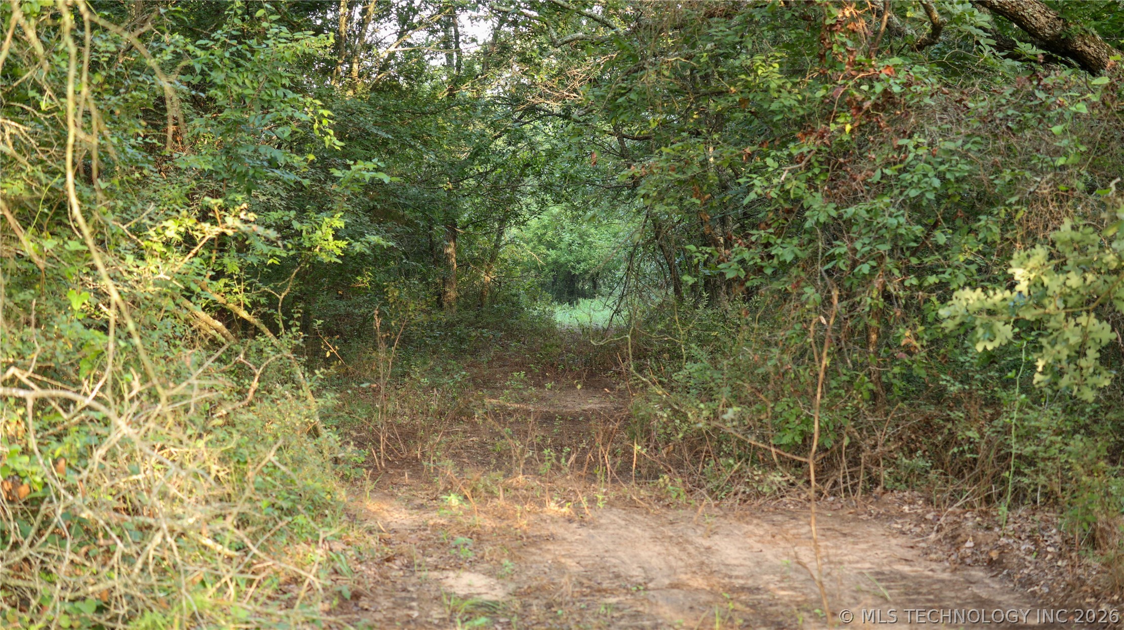 001 E County Road 1650 Property Photo 41
