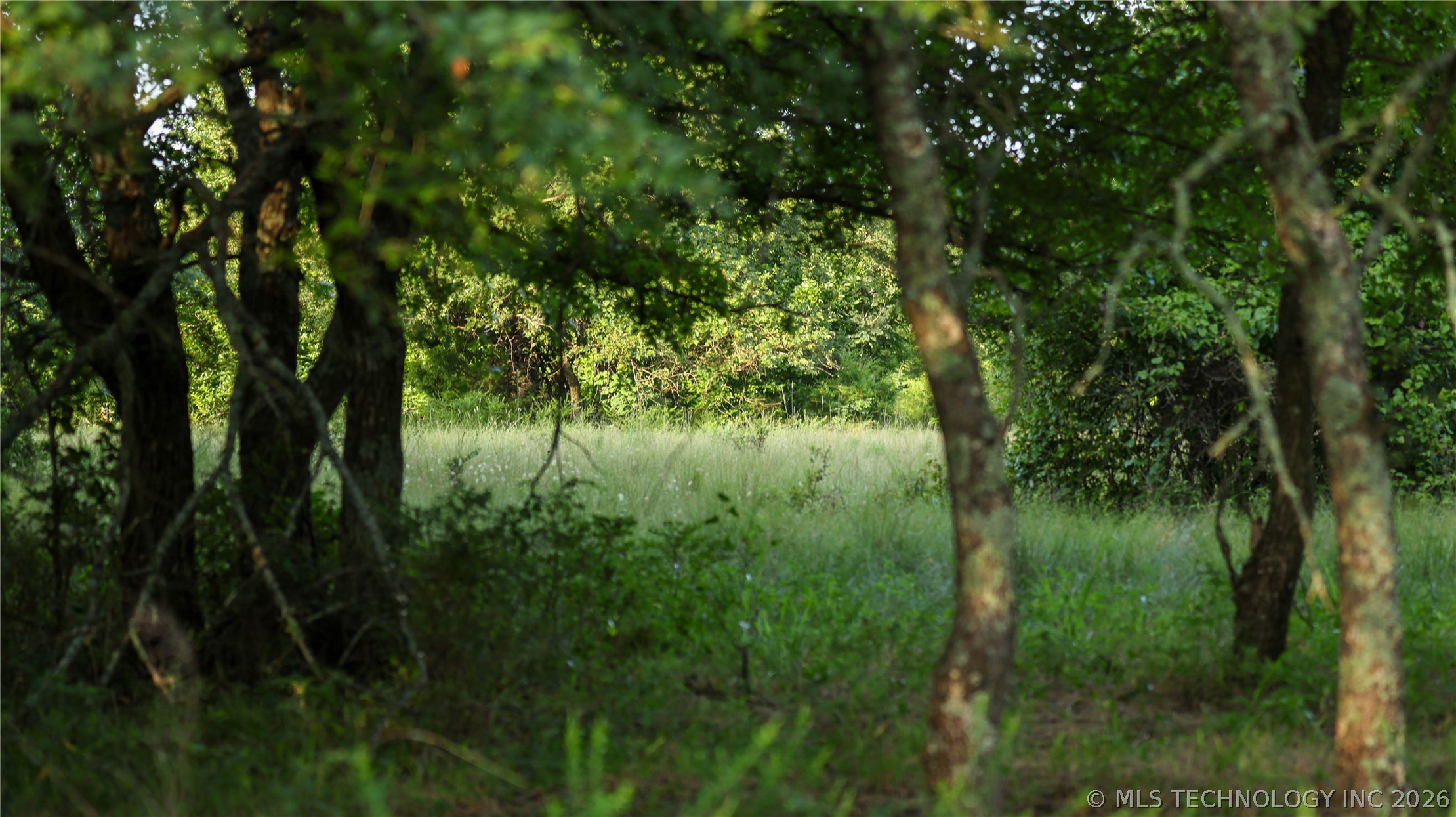 001 E County Road 1650 Property Photo 42
