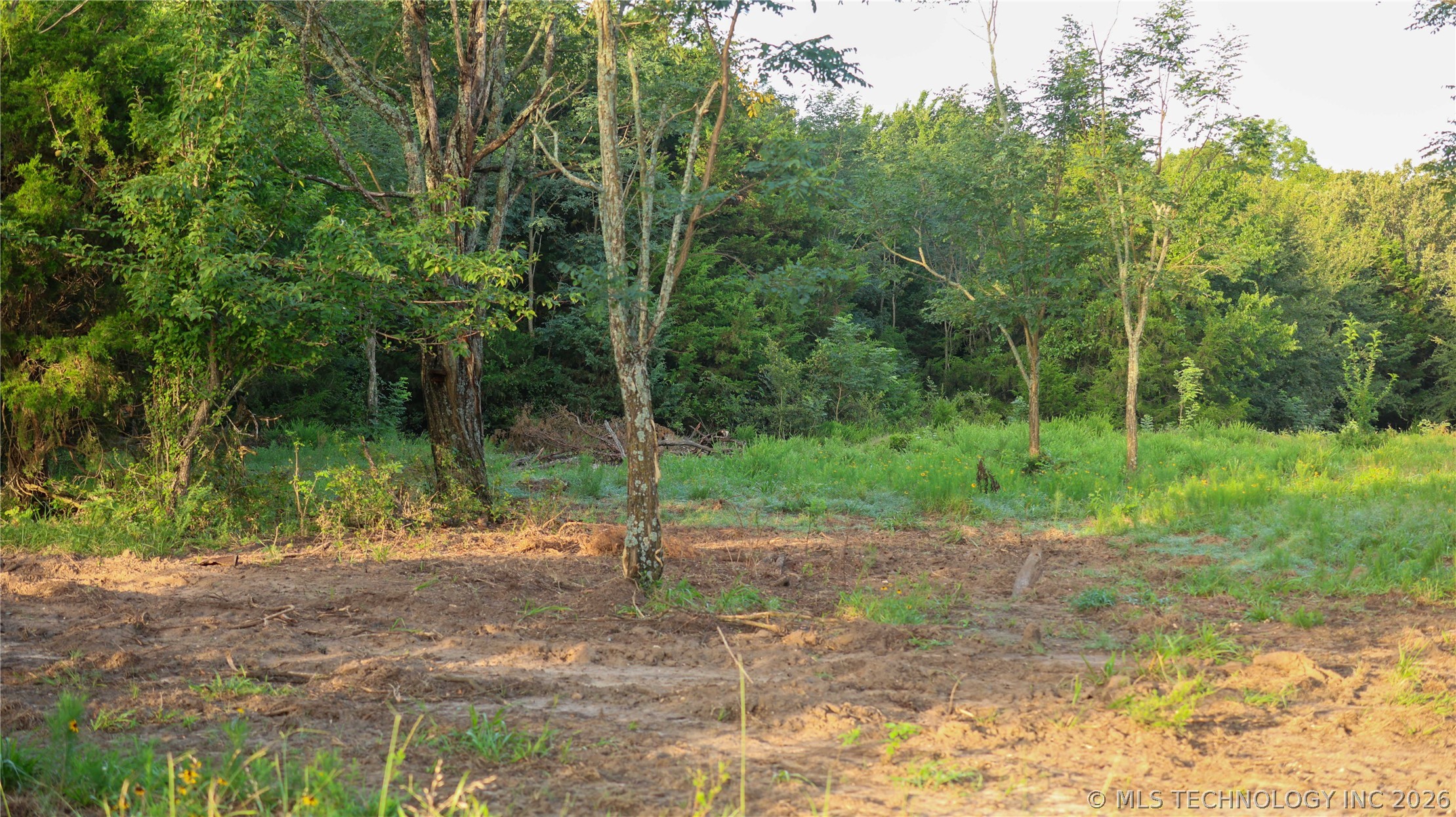 001 E County Road 1650 Property Photo 44
